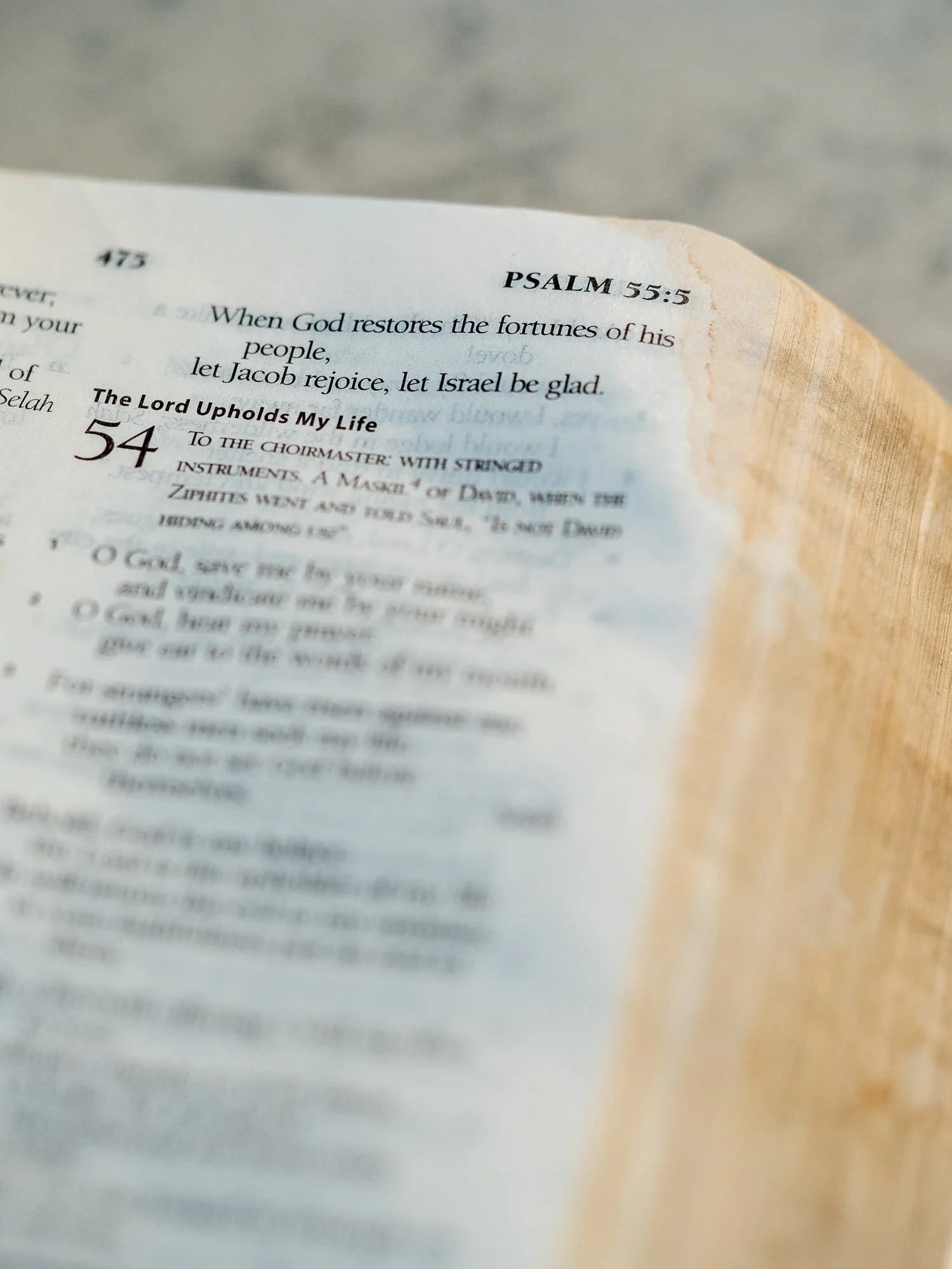 psalm-54-1.jpg