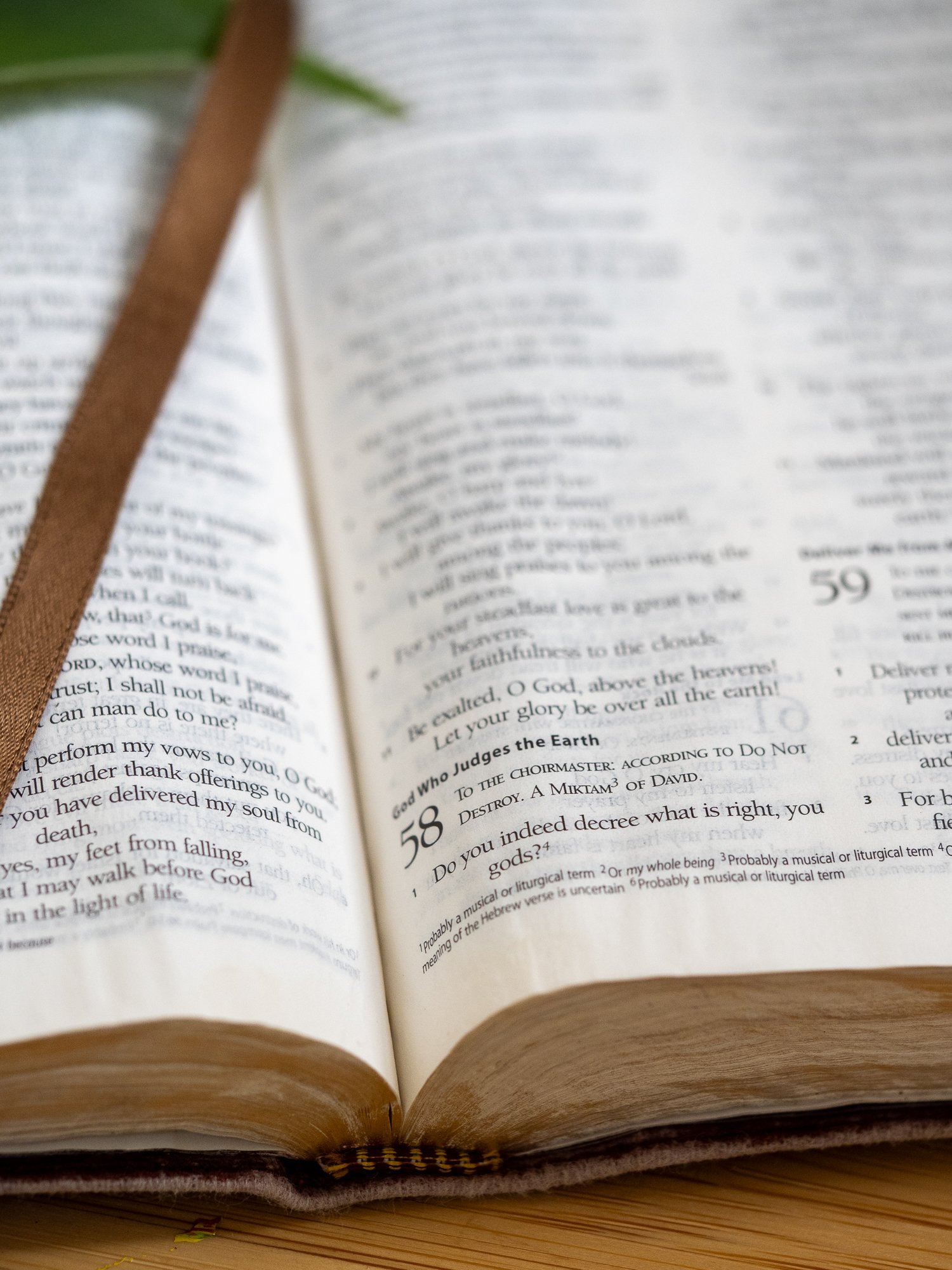 psalm-58-1.jpg