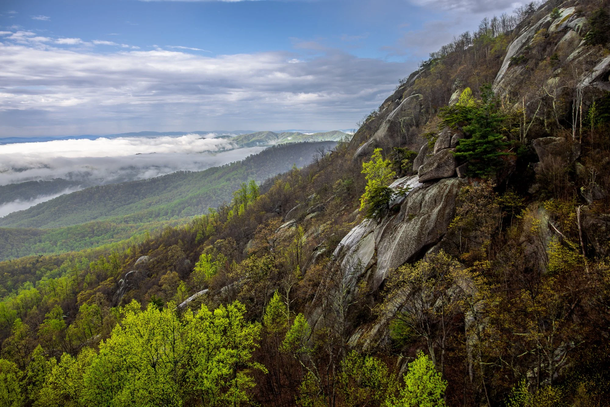 Spring morning on Old Rag, Virginia