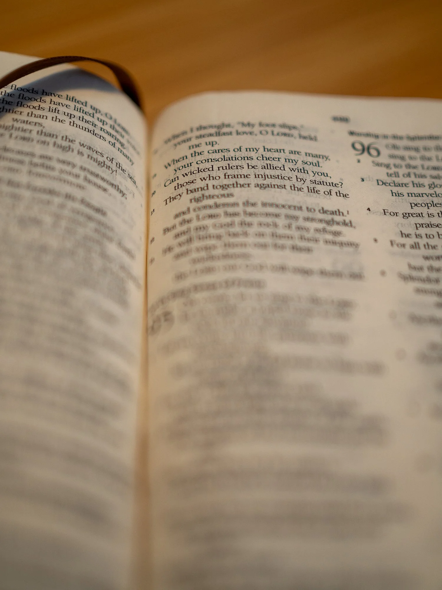 psalm-94-38.jpg