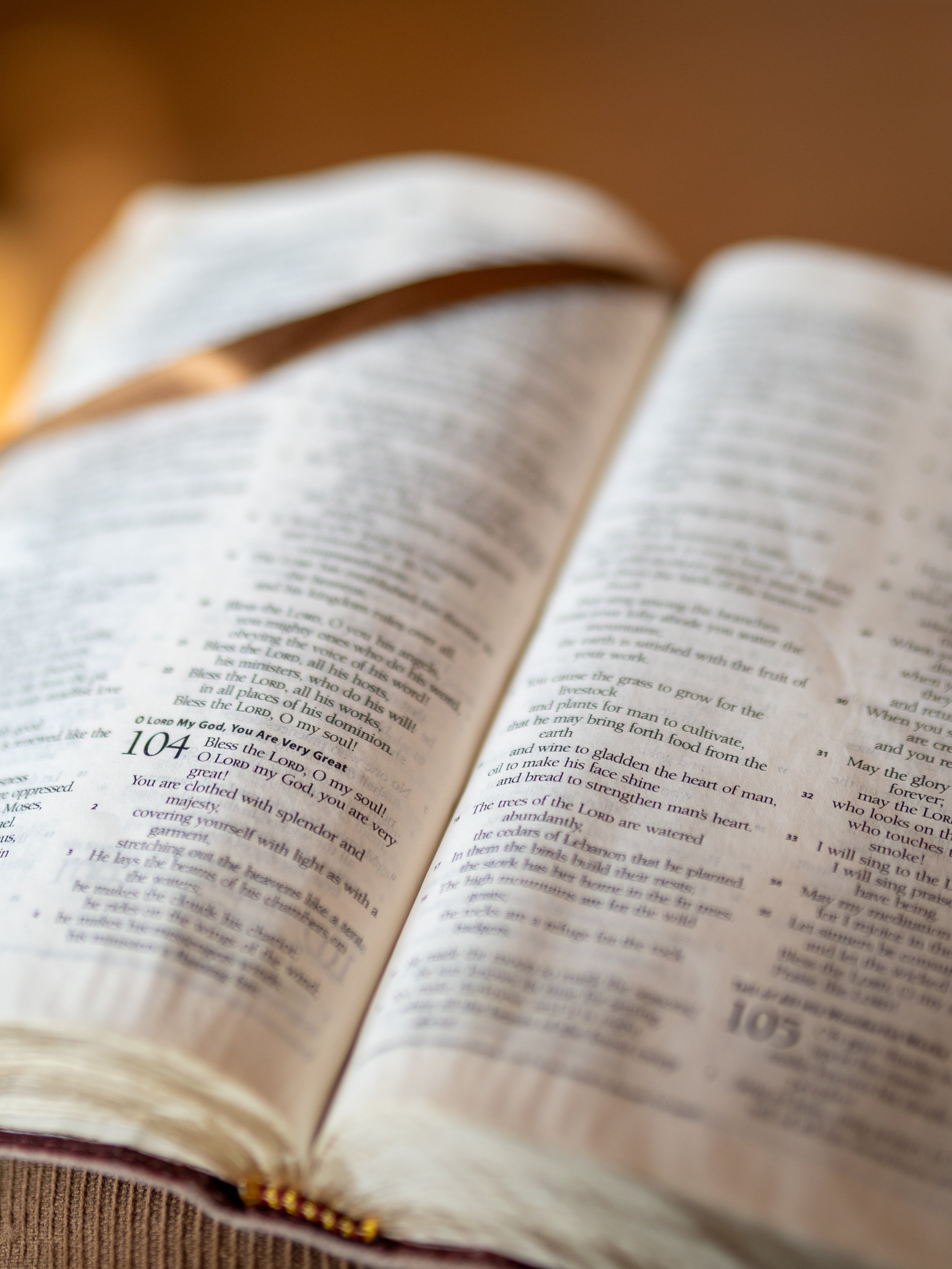 psalm-104-1.jpg