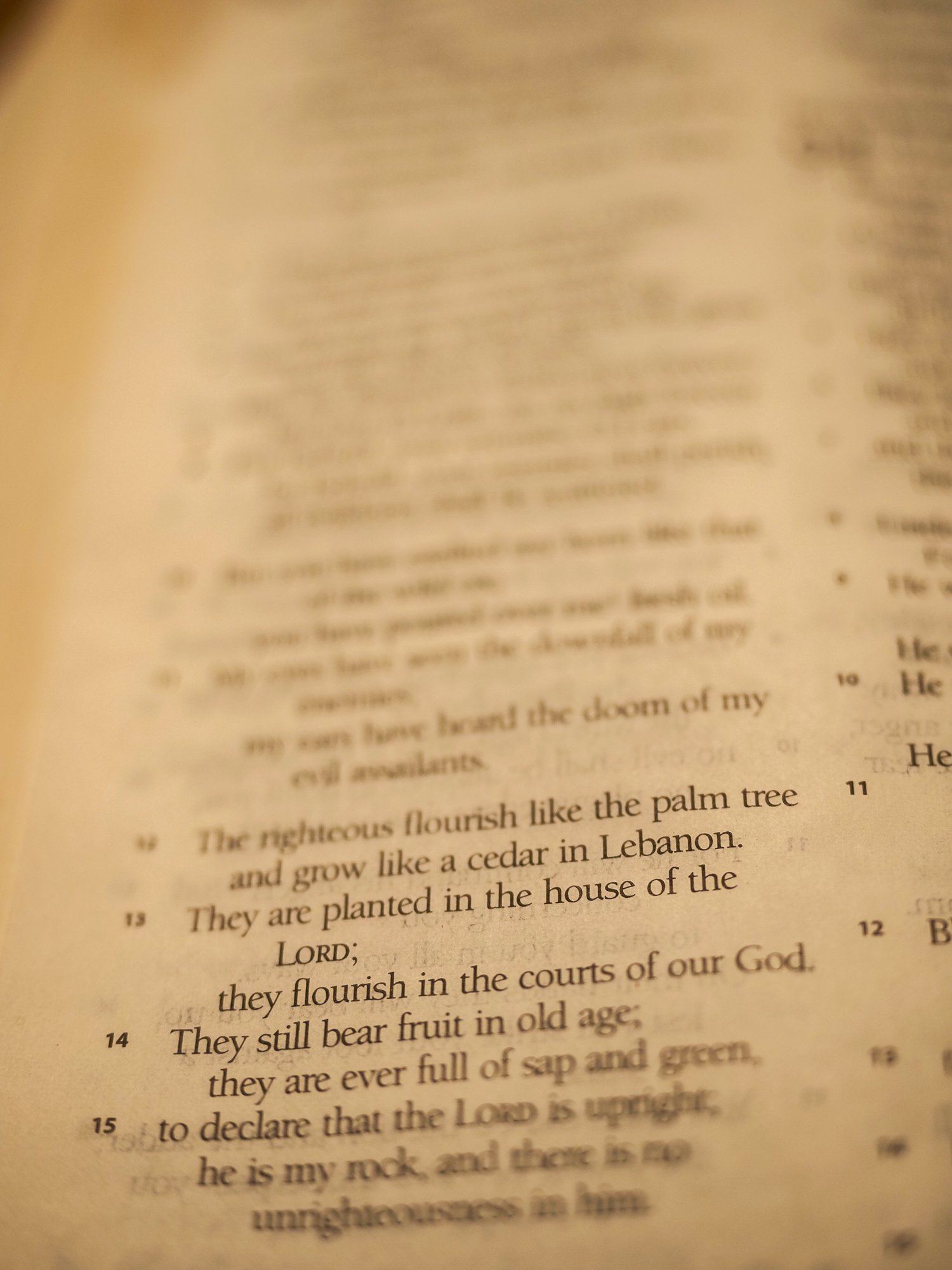 psalm-92-2.jpg