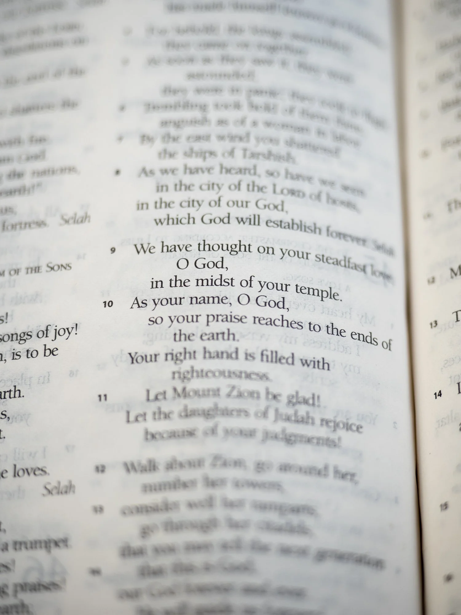 psalm-48-3.jpg