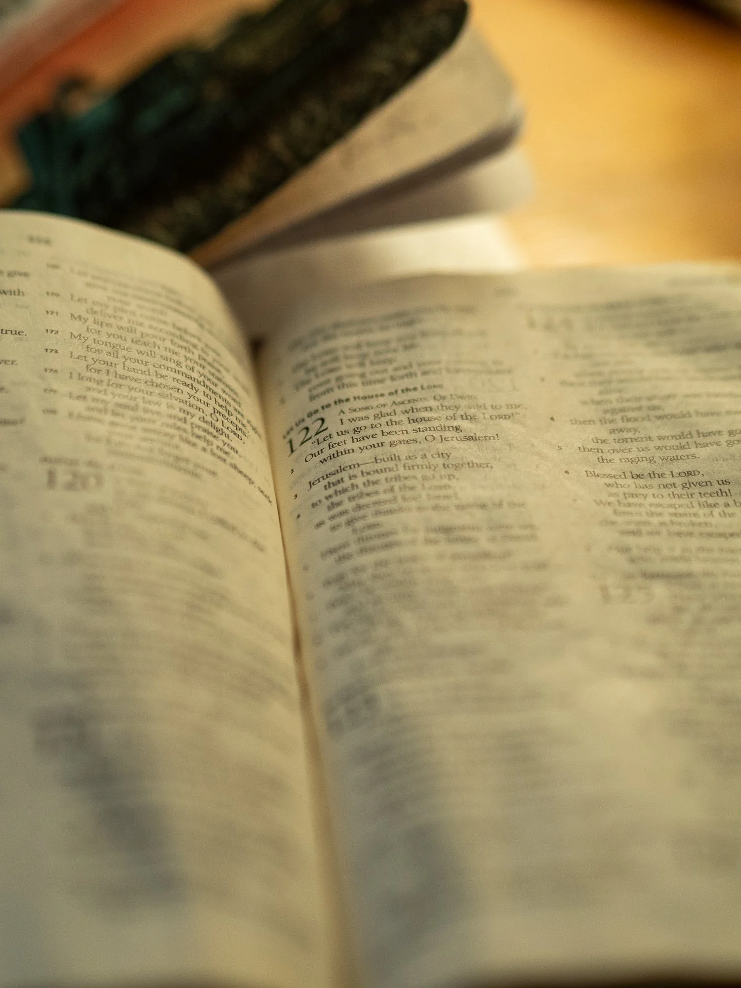psalm-121-122-2.jpg