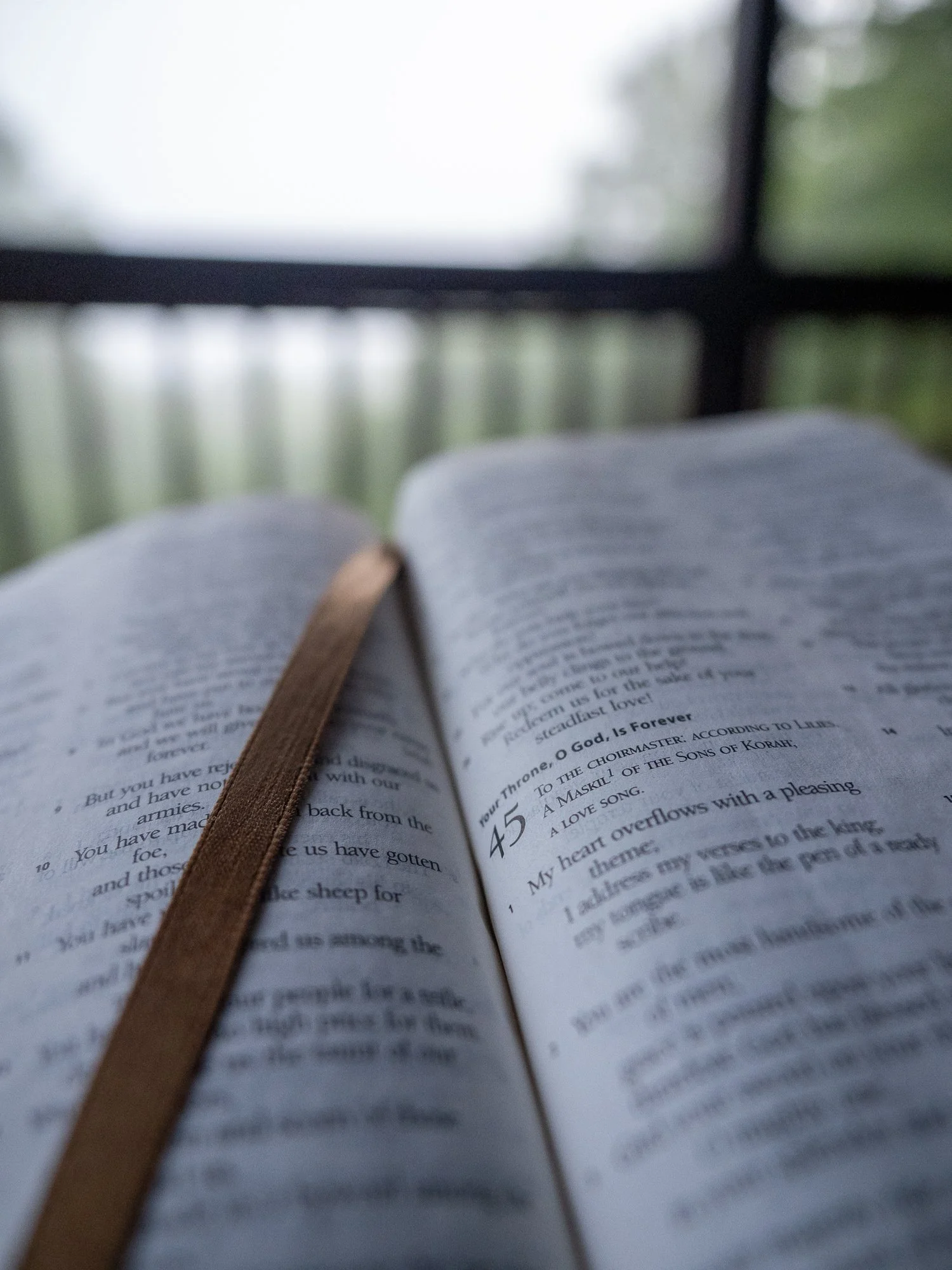 psalm-45-1.jpg