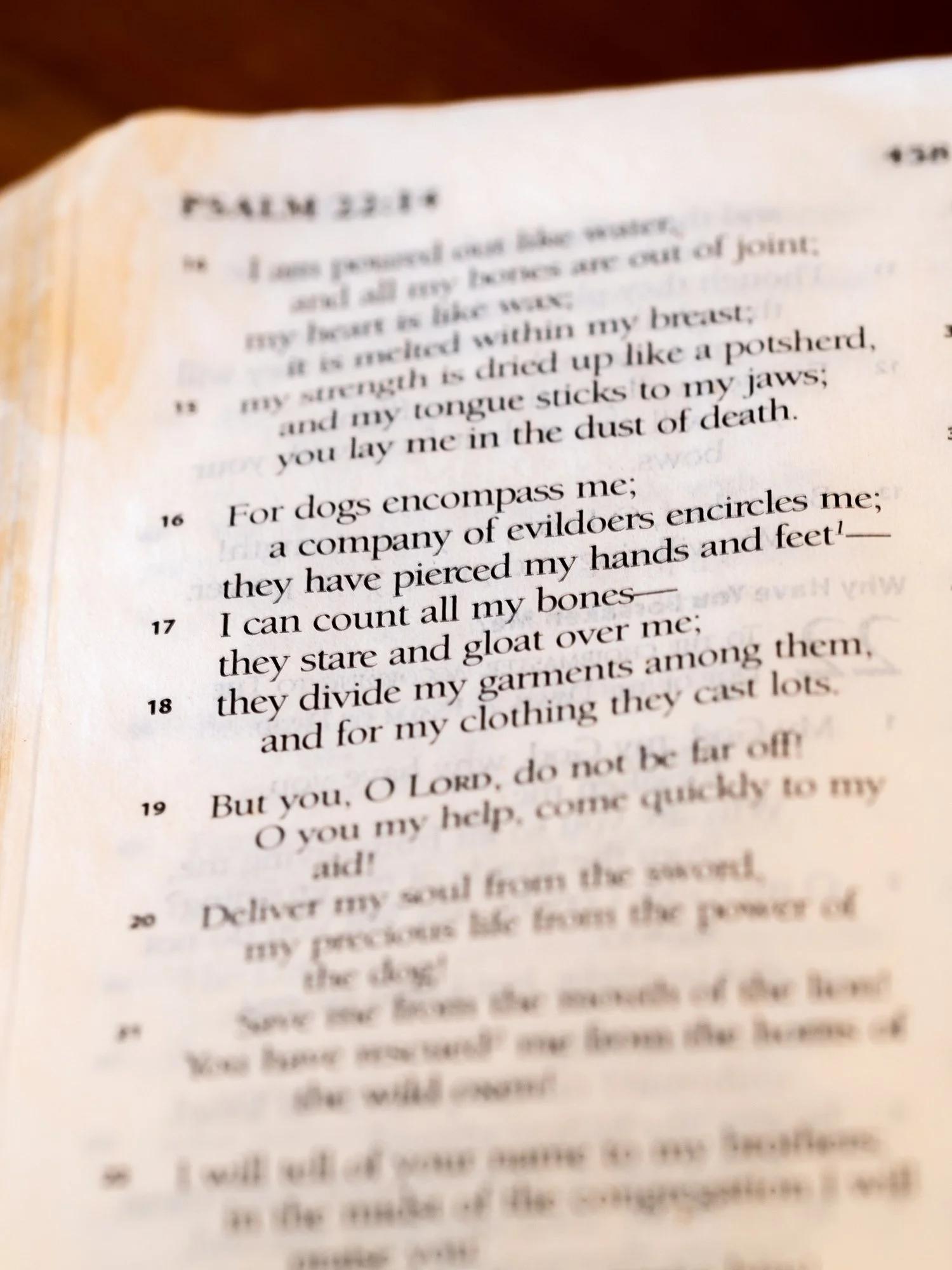 psalm-22 b-054.jpg