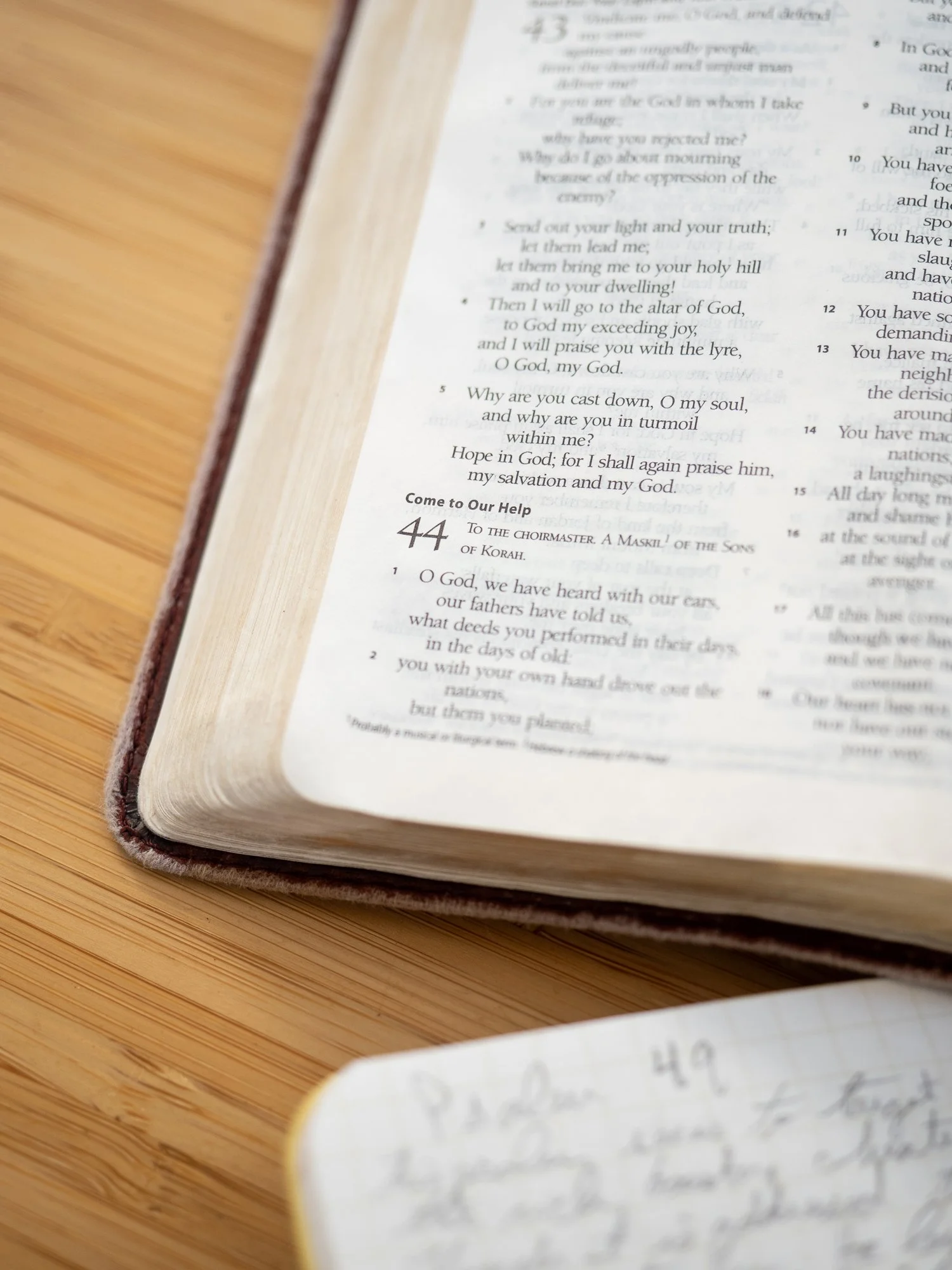 psalm-44-5.jpg