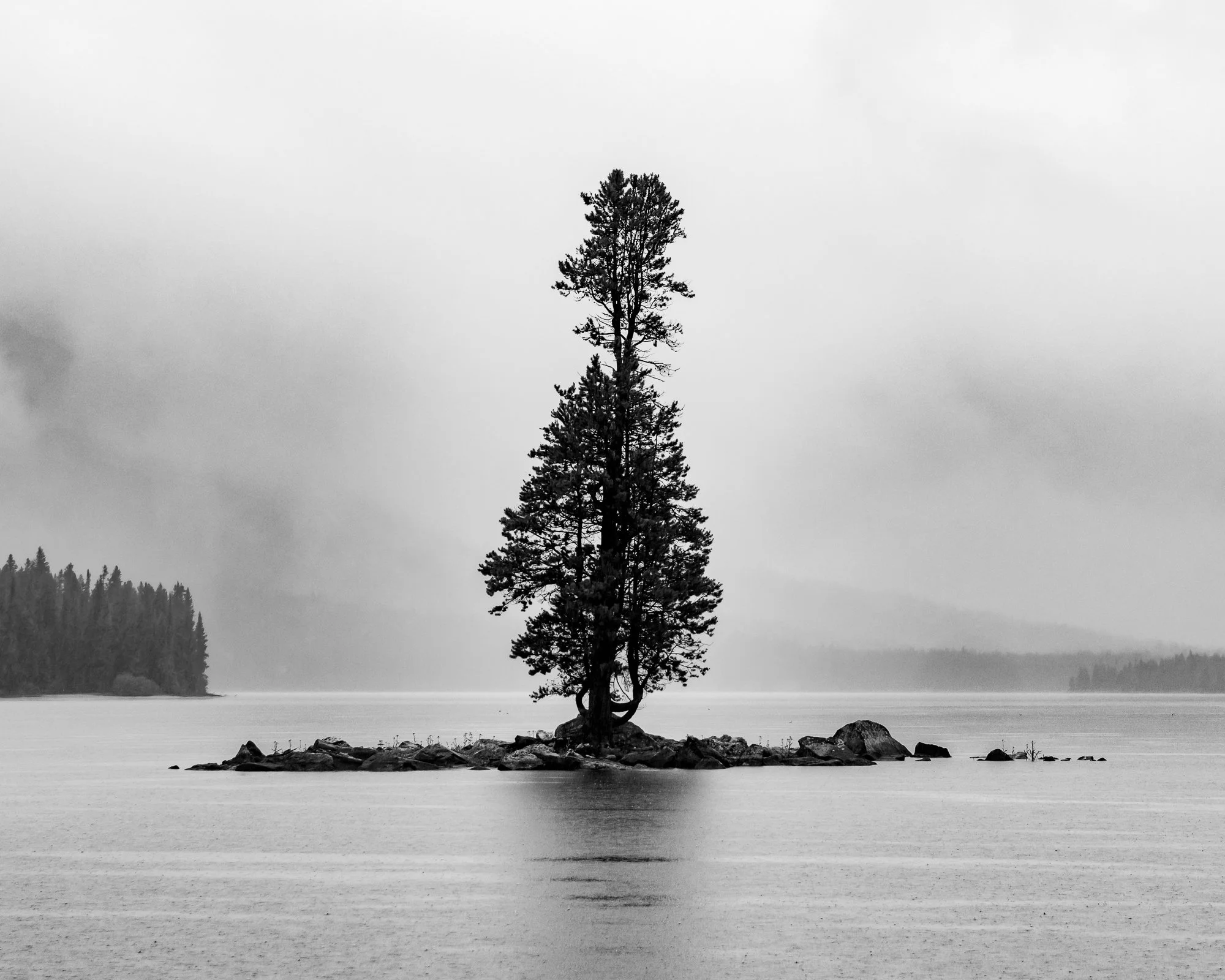 Lone Tree, Tetons WY