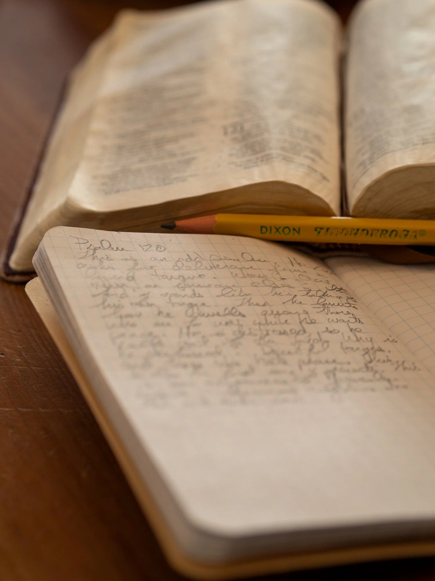psalm-120-3.jpg