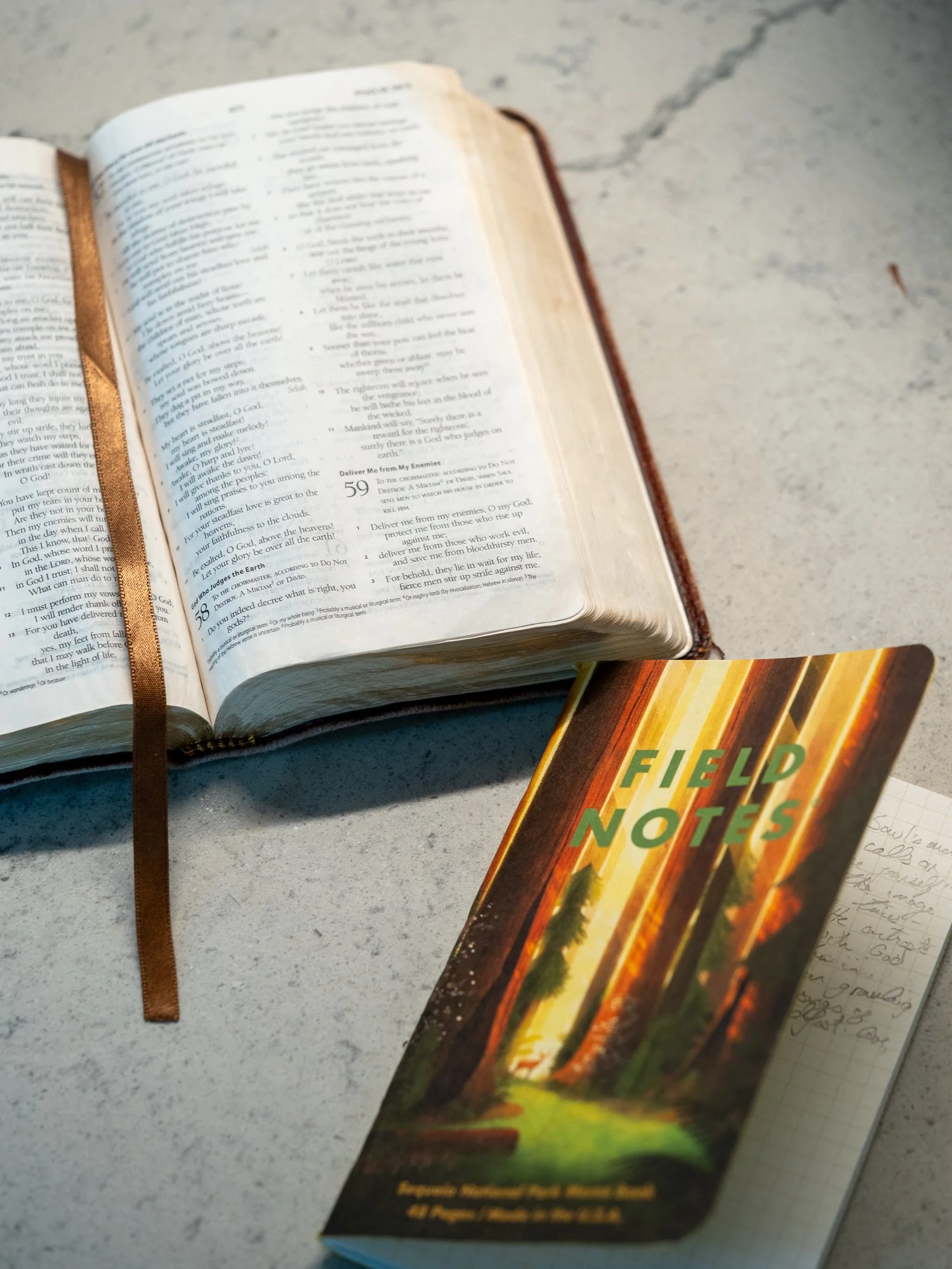 psalm-59-3.jpg