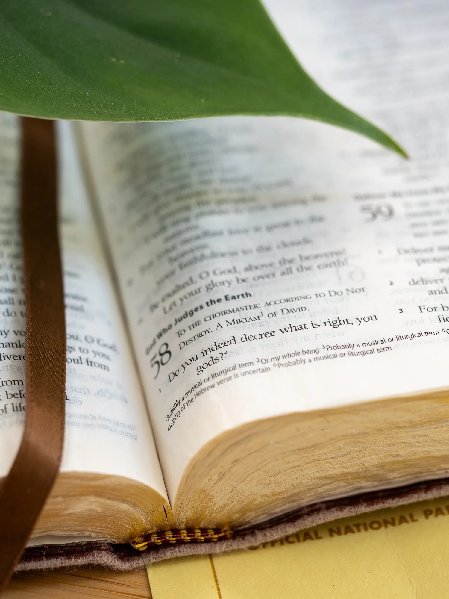 psalm-58-3.jpg