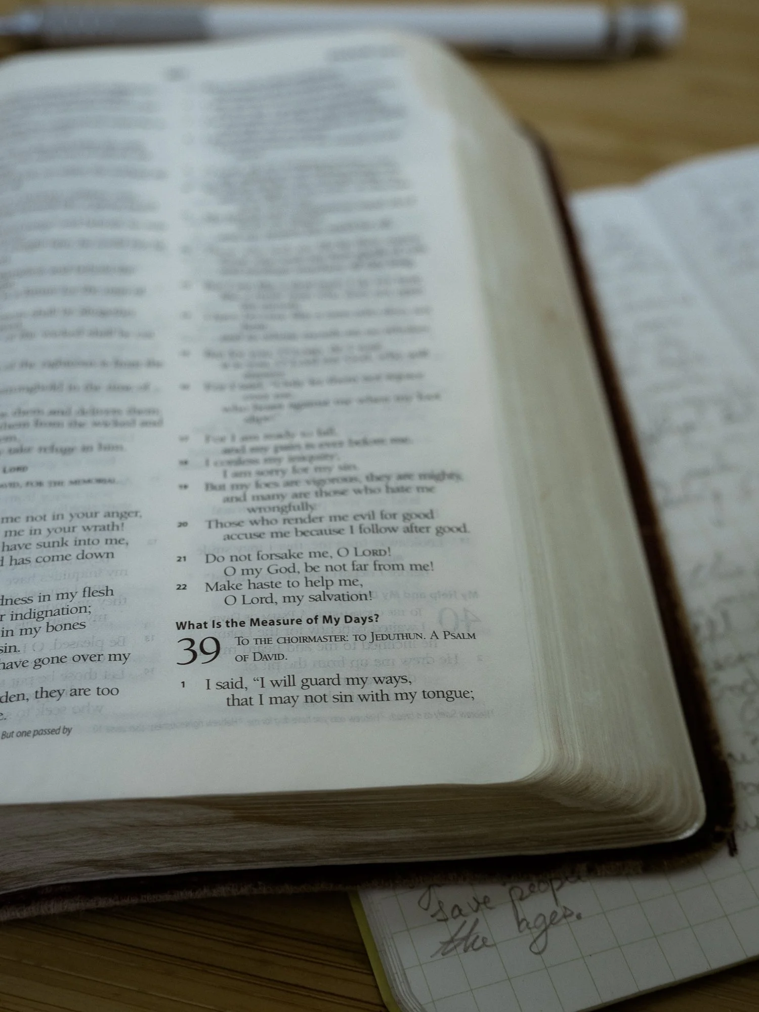 psalm-39 a-003.jpg