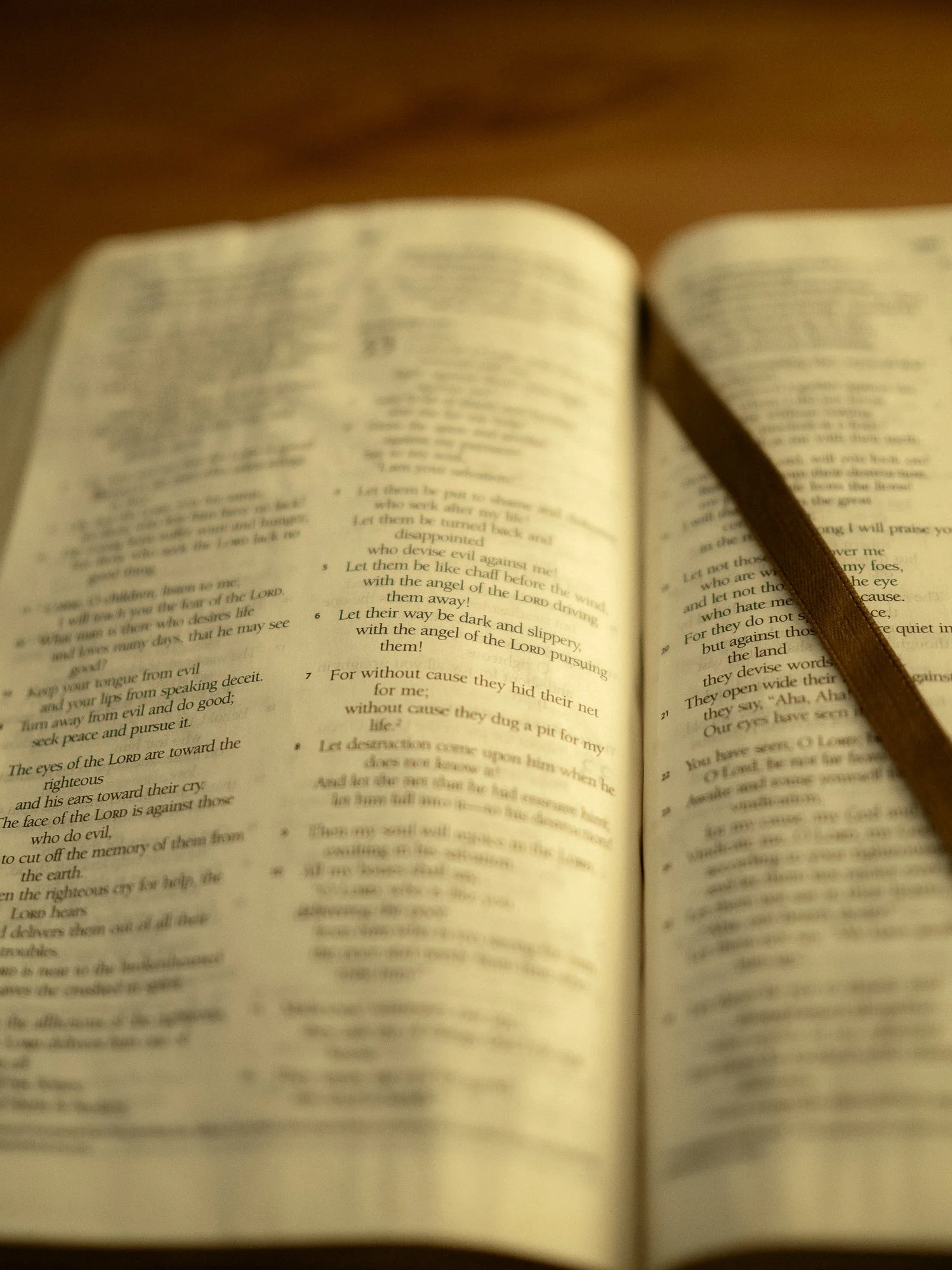psalm-35 b-015.jpg