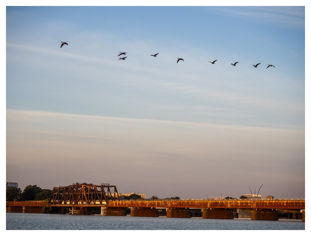 marathon-blog-post-20251019-Geese over potomac.jpg