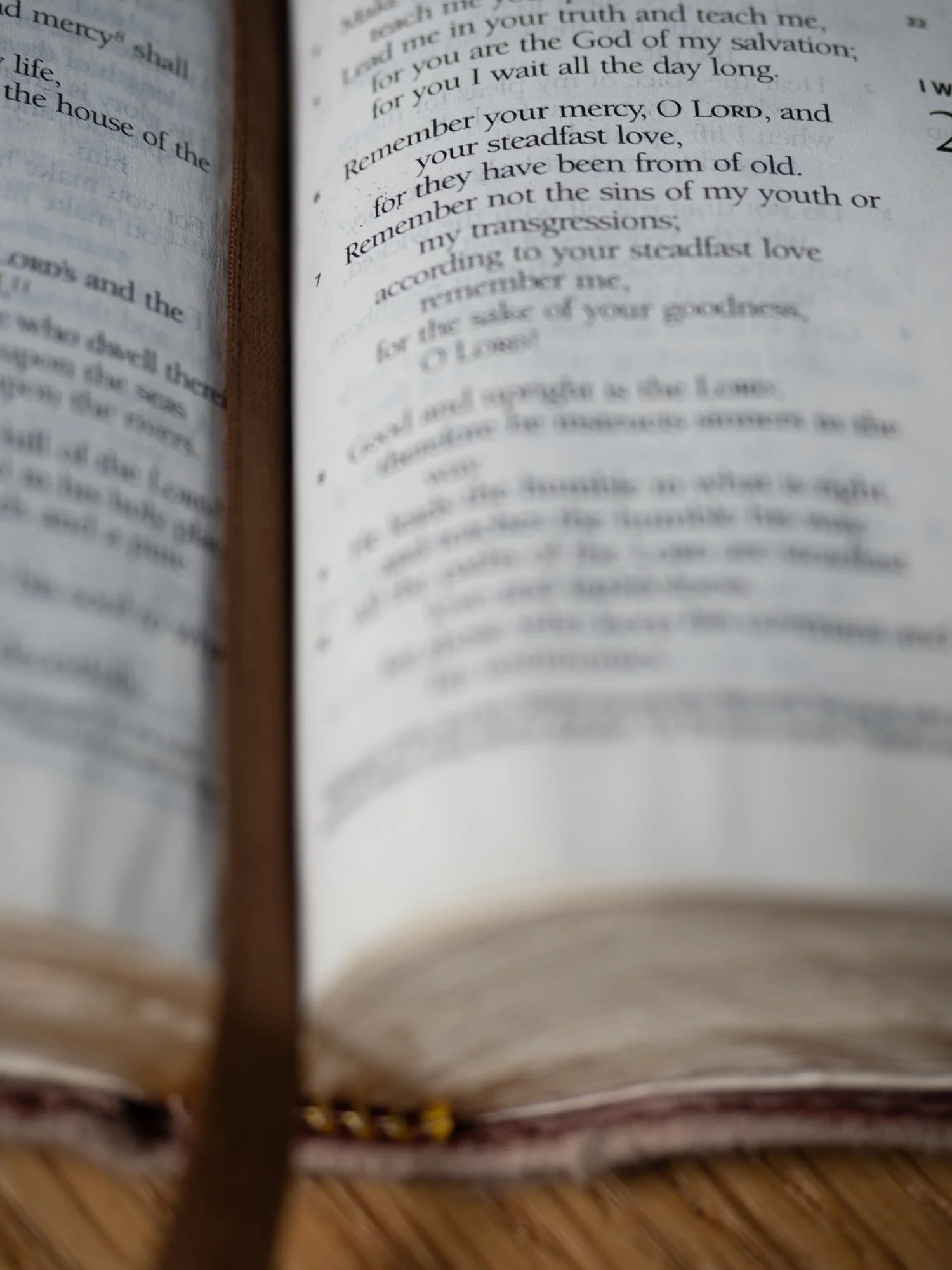 psalm-25 b2-044.jpg