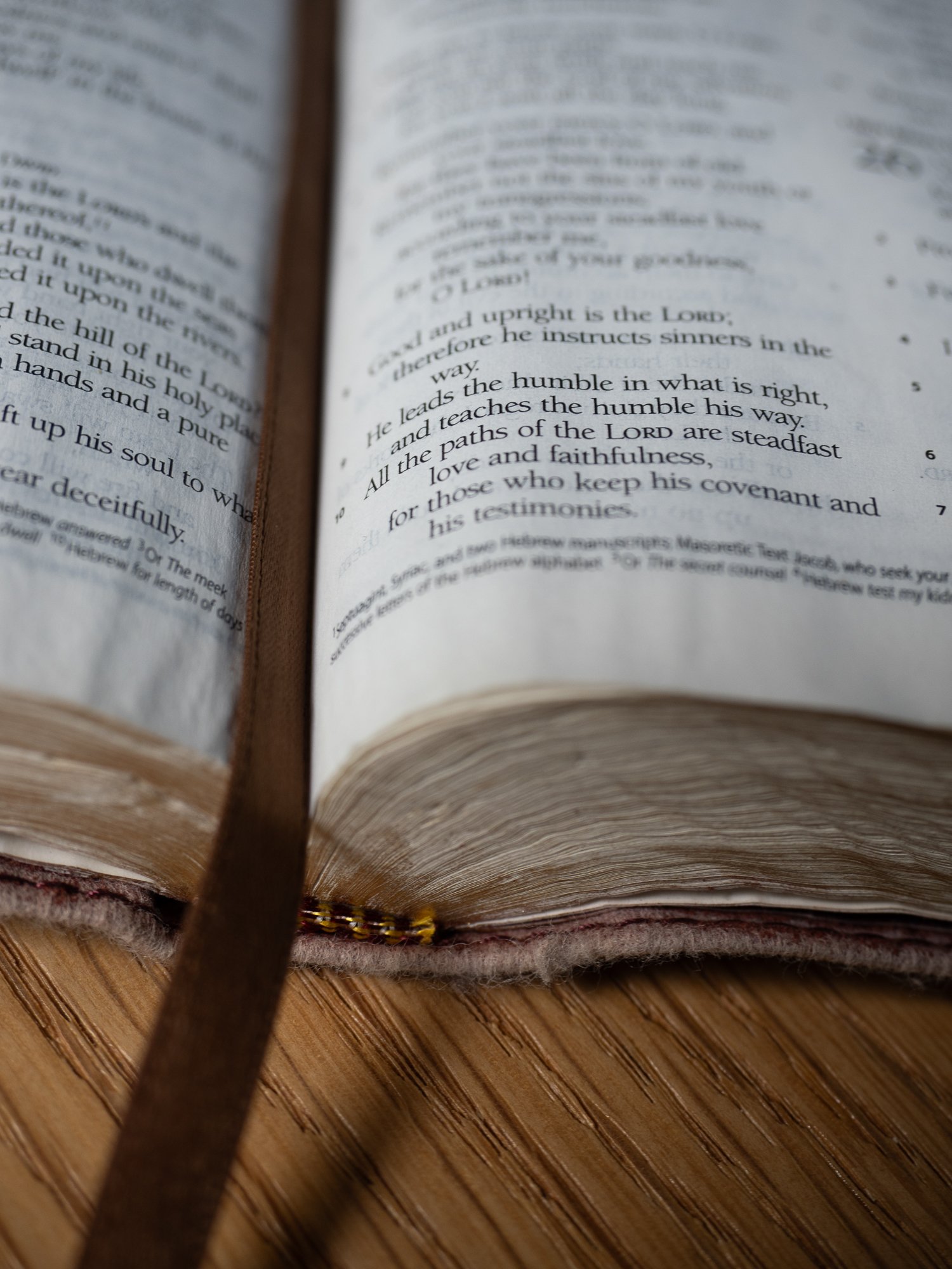 psalm-25 b-045.jpg