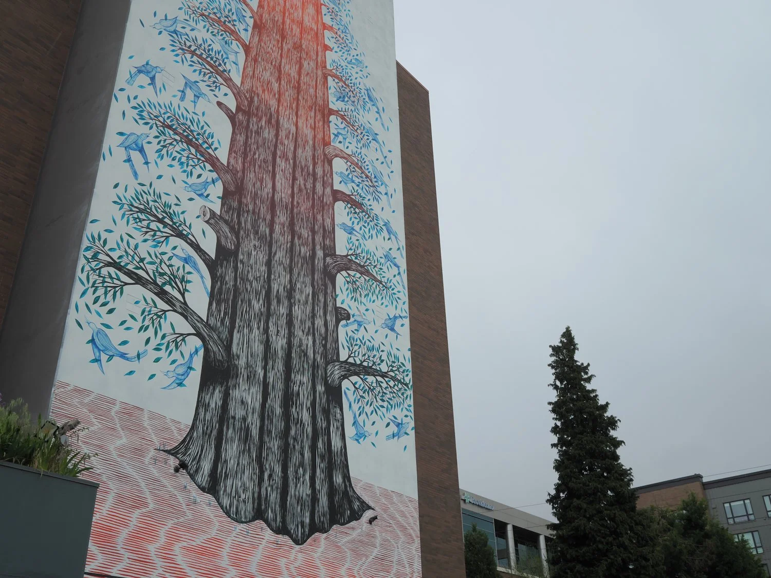 Portland 2026 - 30 of 128.jpeg