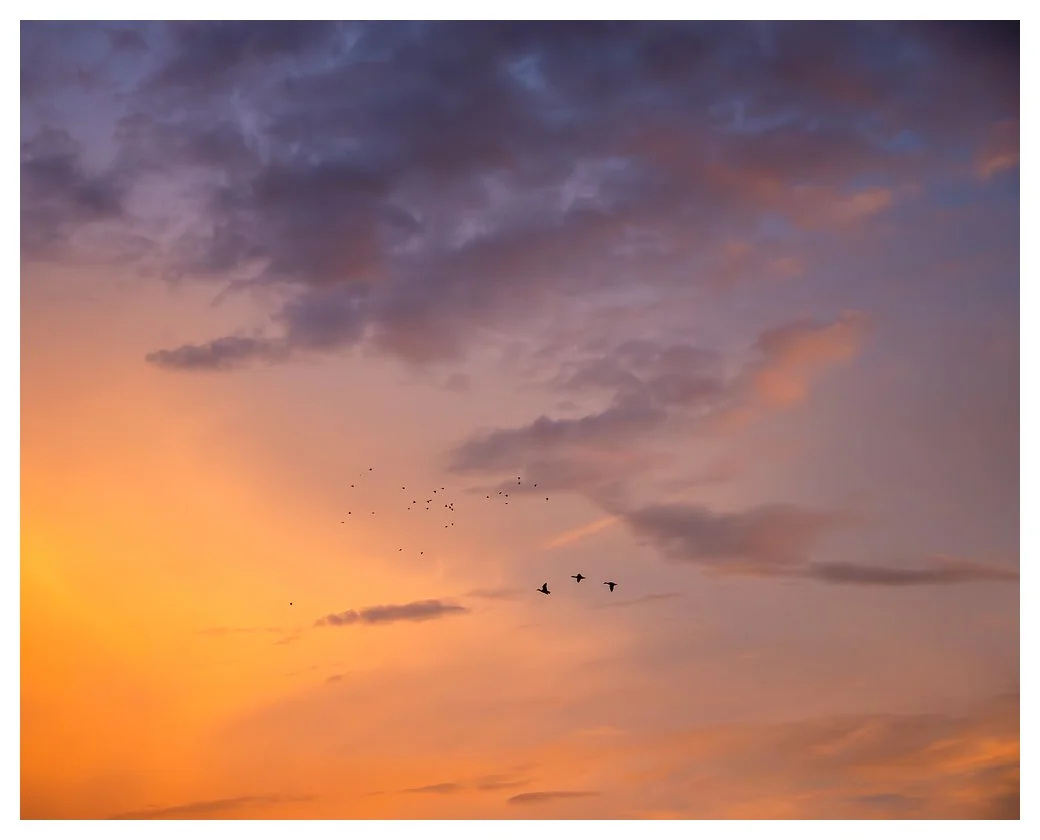 marathon-blog-post-20251018-Birds and clouds at sunrise.jpg