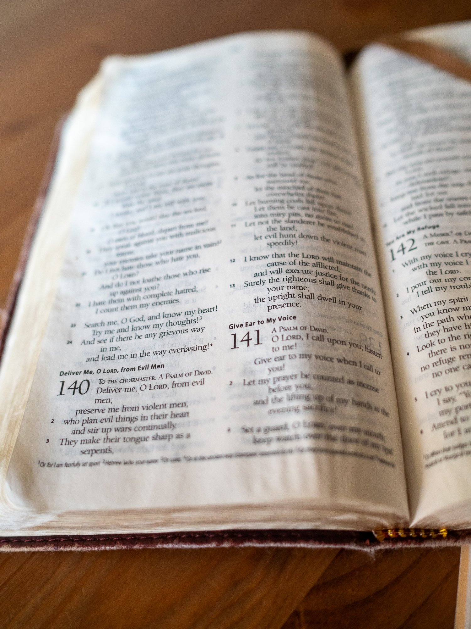 psalm-140-2.jpg