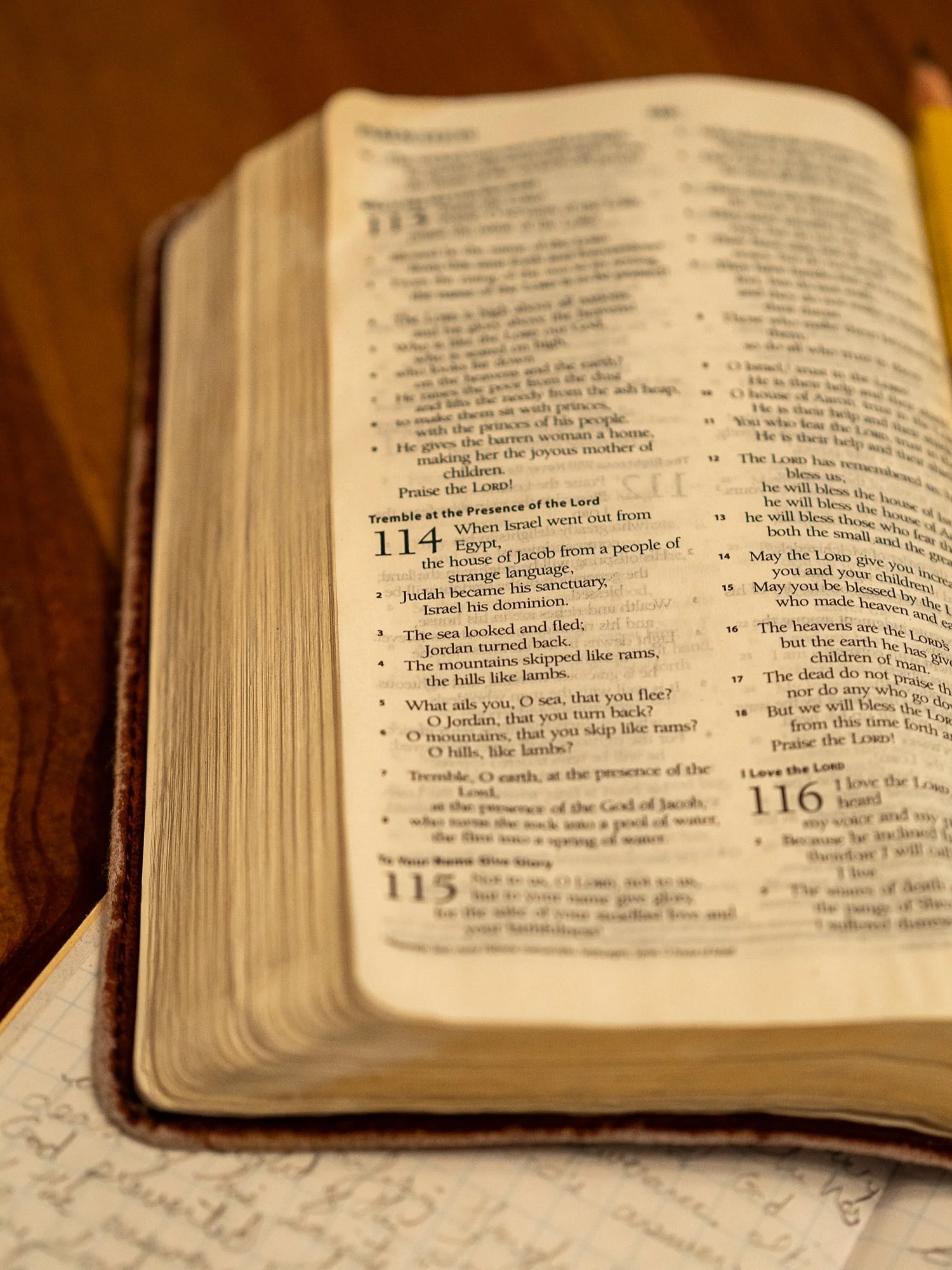 psalm-113-114-115-4.jpg