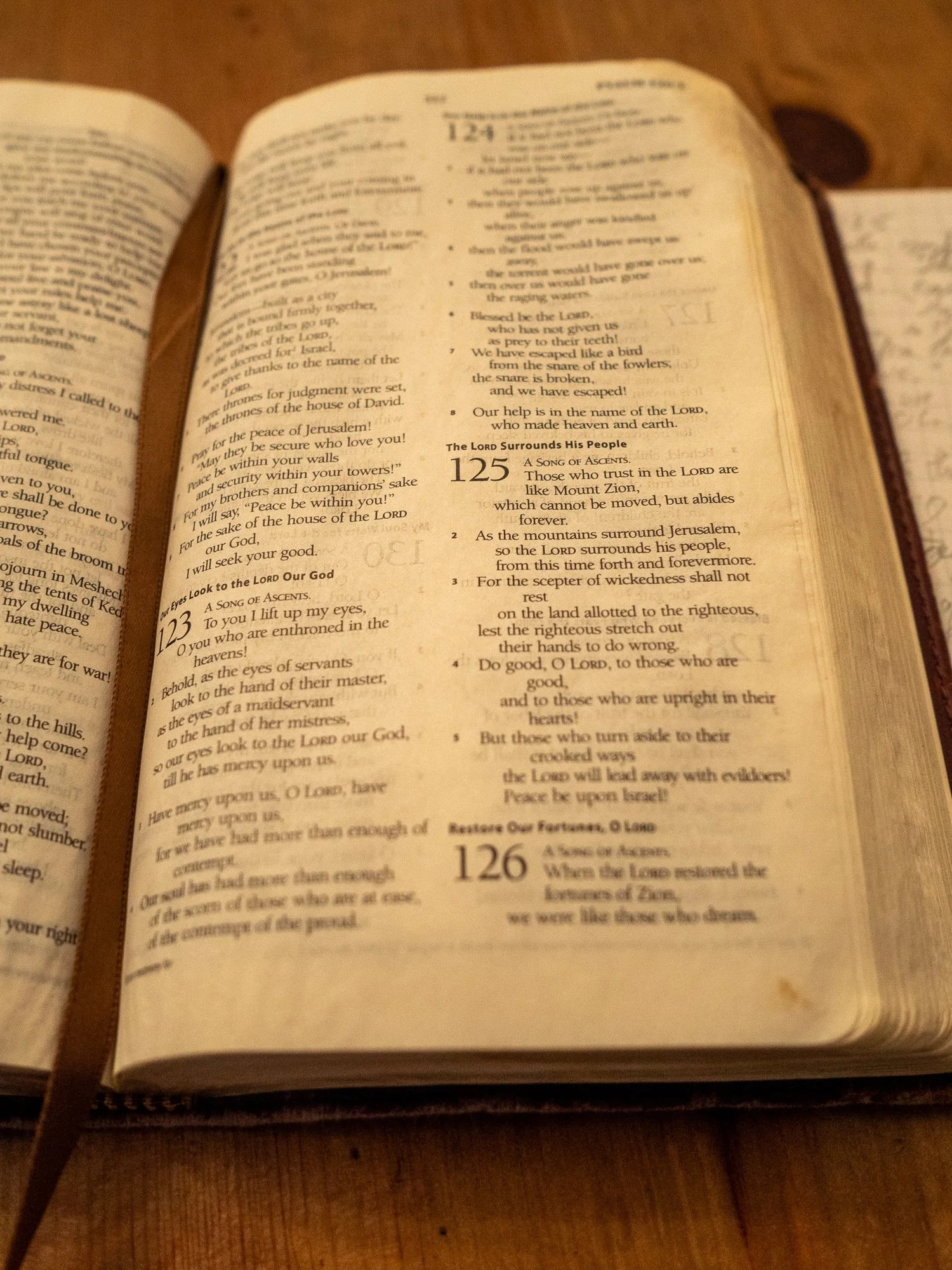 psalm-125.jpg
