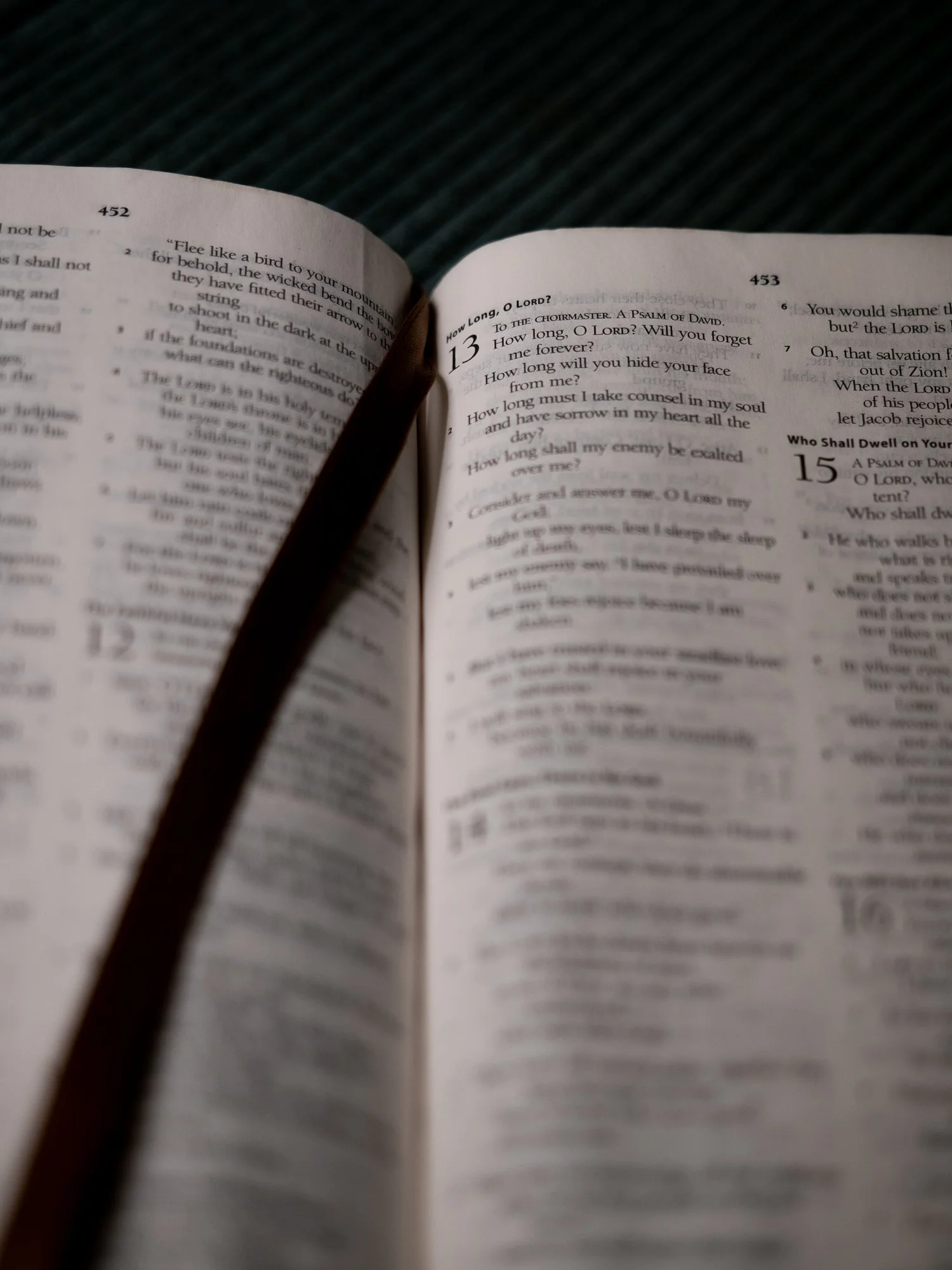 psalm-13 a-079.jpg