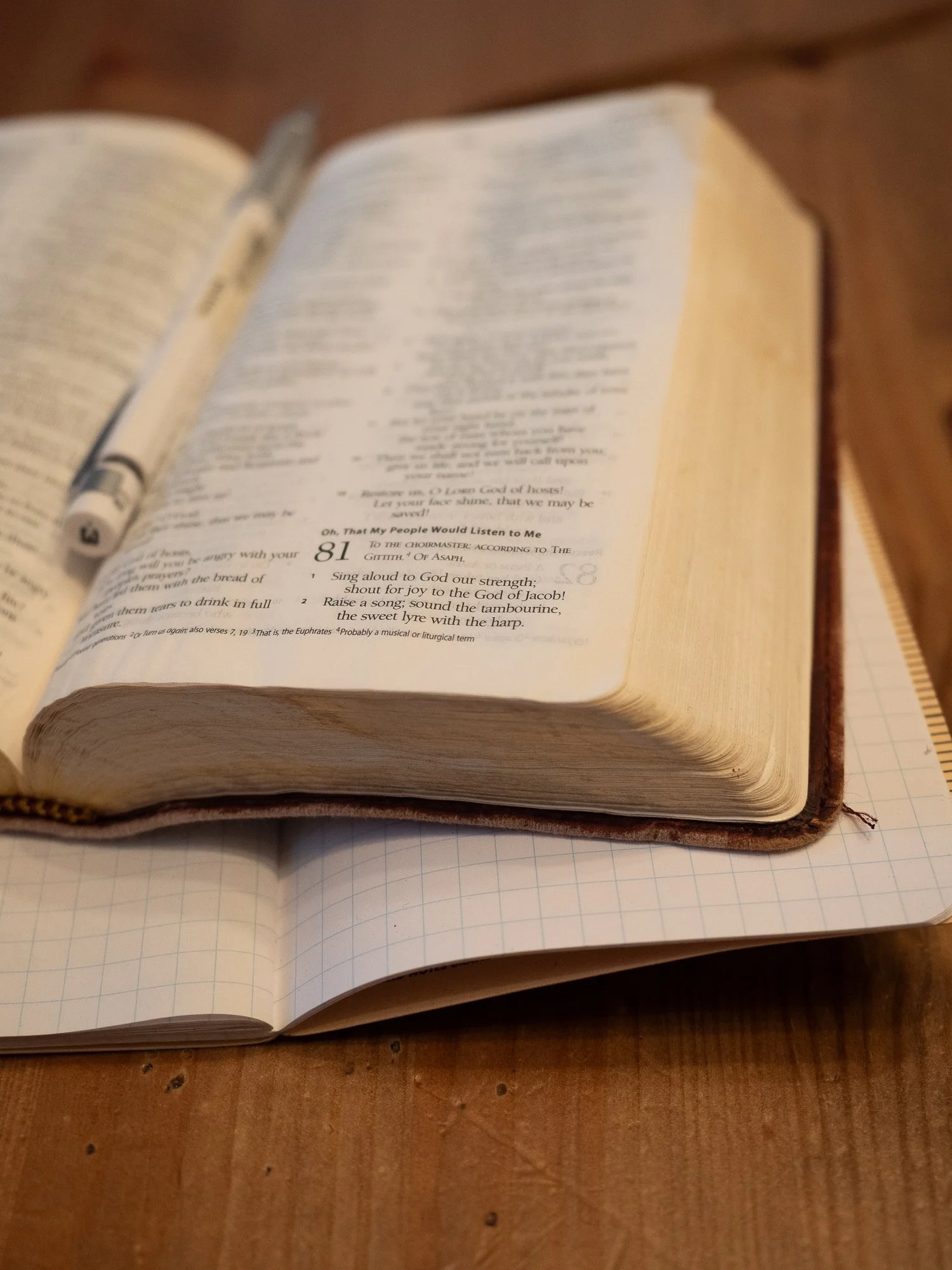 psalm-81-1.jpg