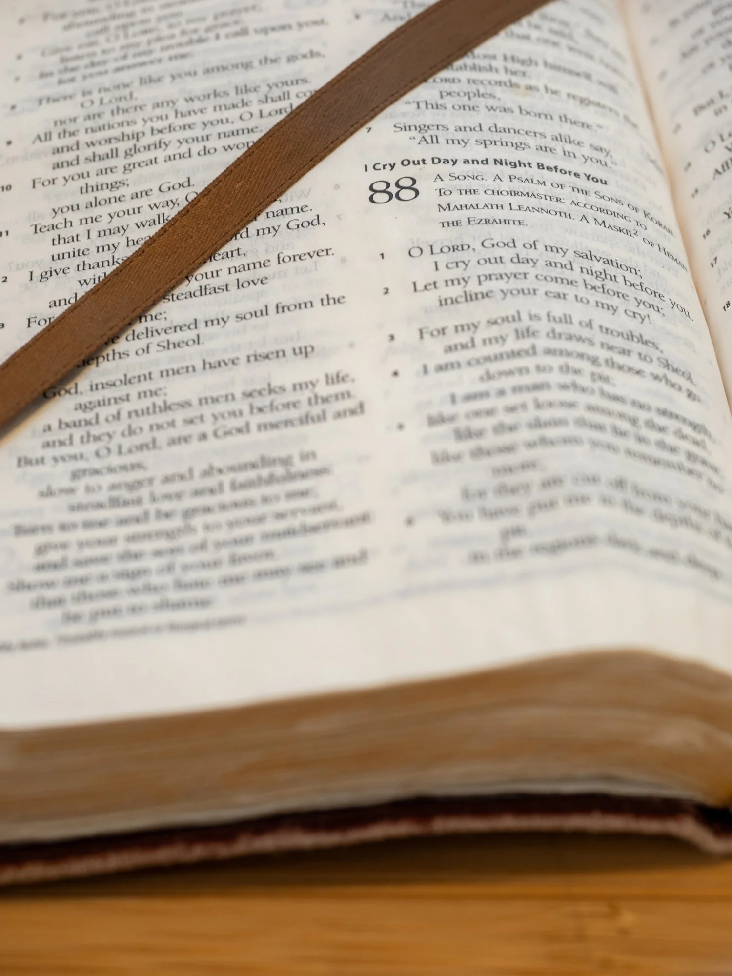 psalm-88-1.jpg