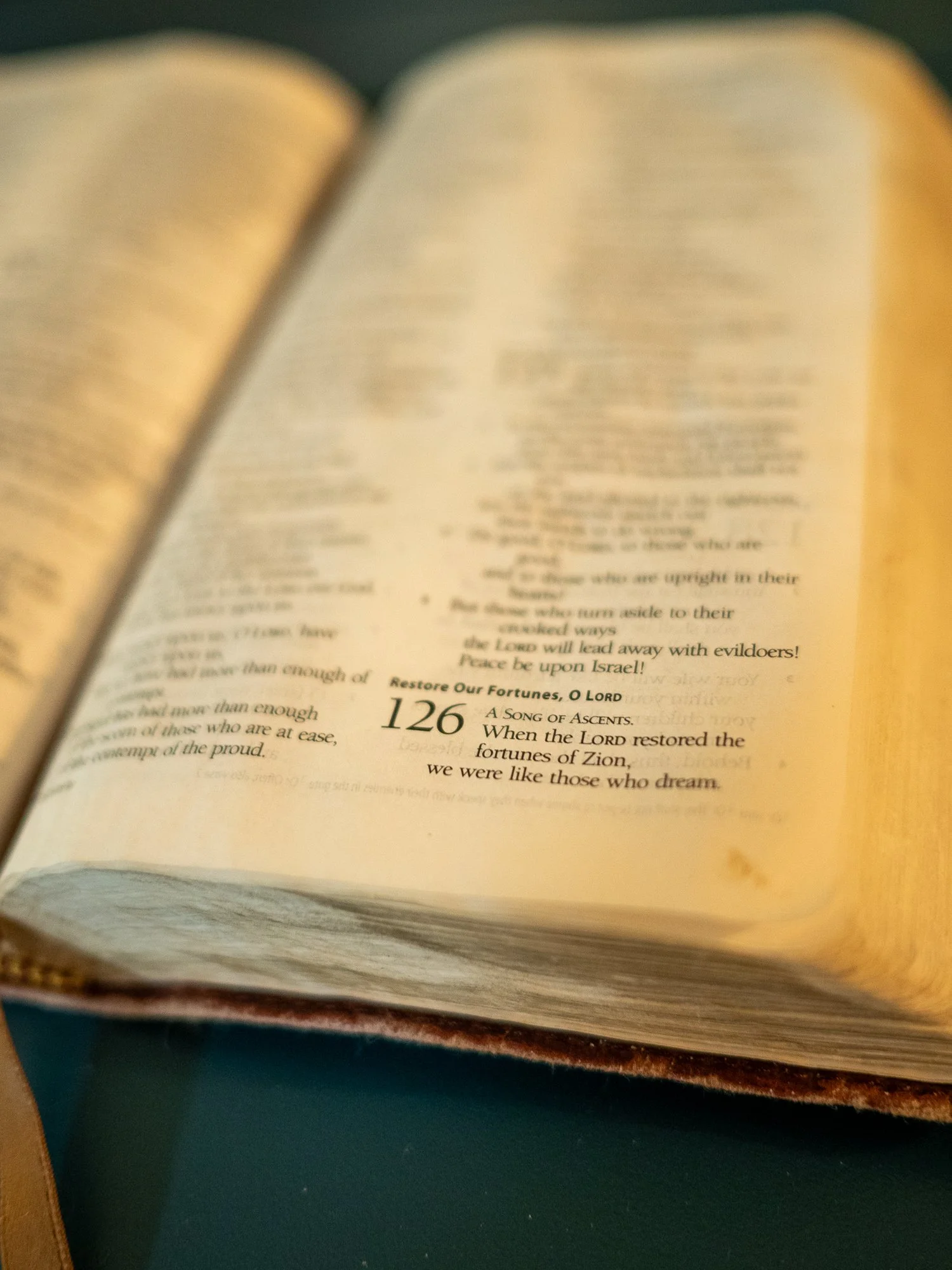 psalm-126-2.jpg