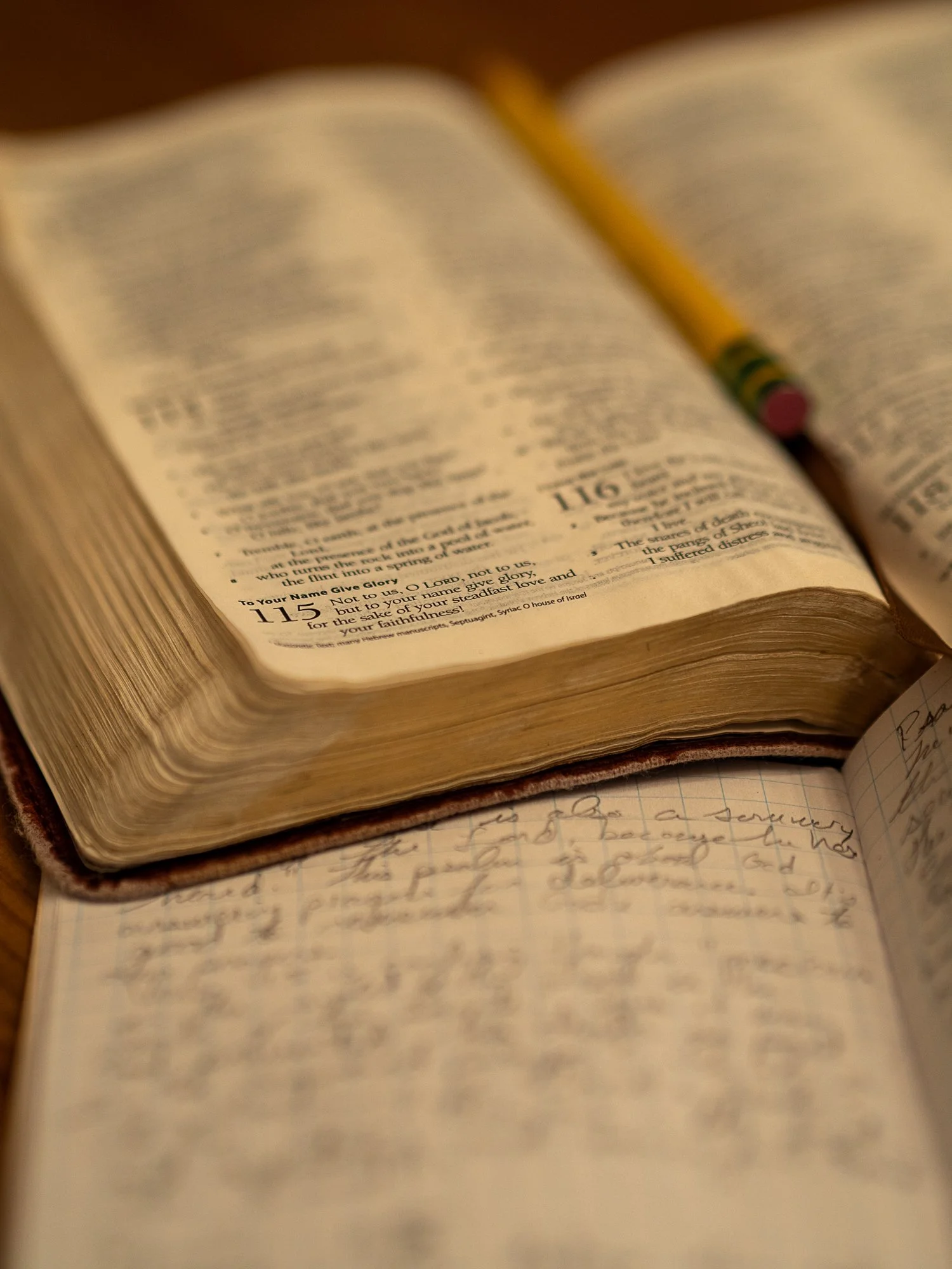 psalm-113-114-115-2.jpg