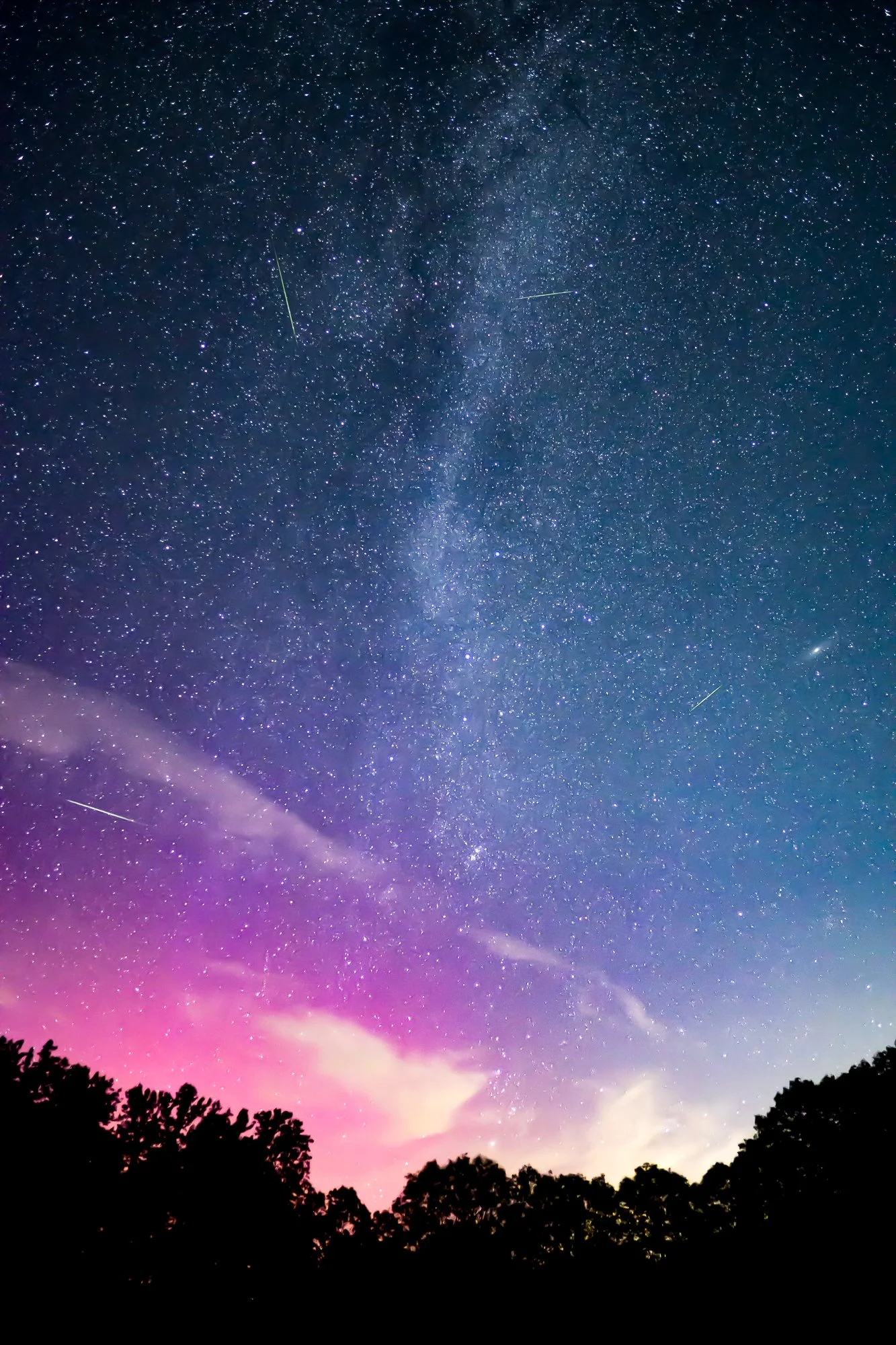 stars-portfolio-3.jpg