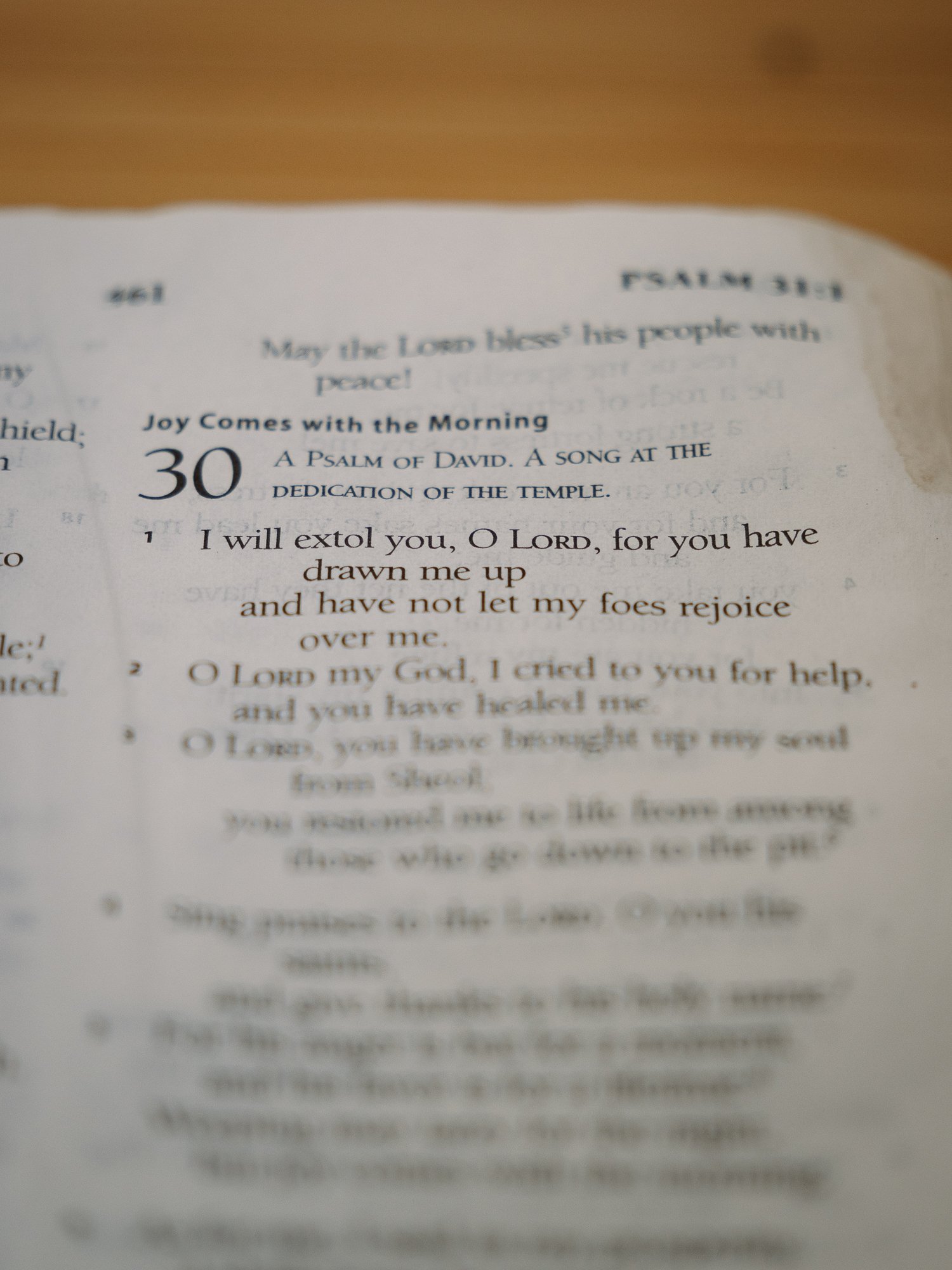 psalm-30 a-029.jpg