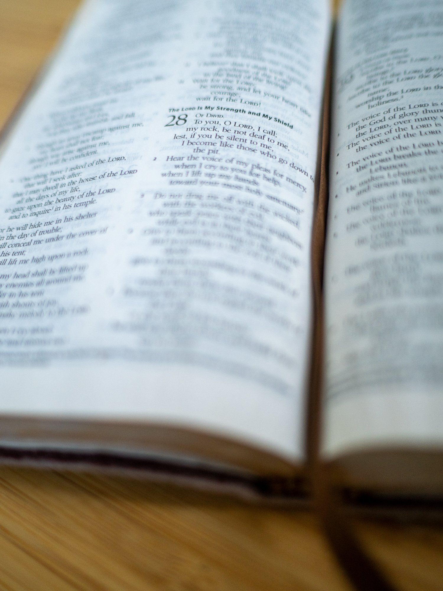 psalm-28 a-035.jpg