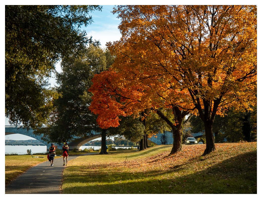 marathon-blog-post-20251026-Walking home from the Marine Corps Marathon.jpg