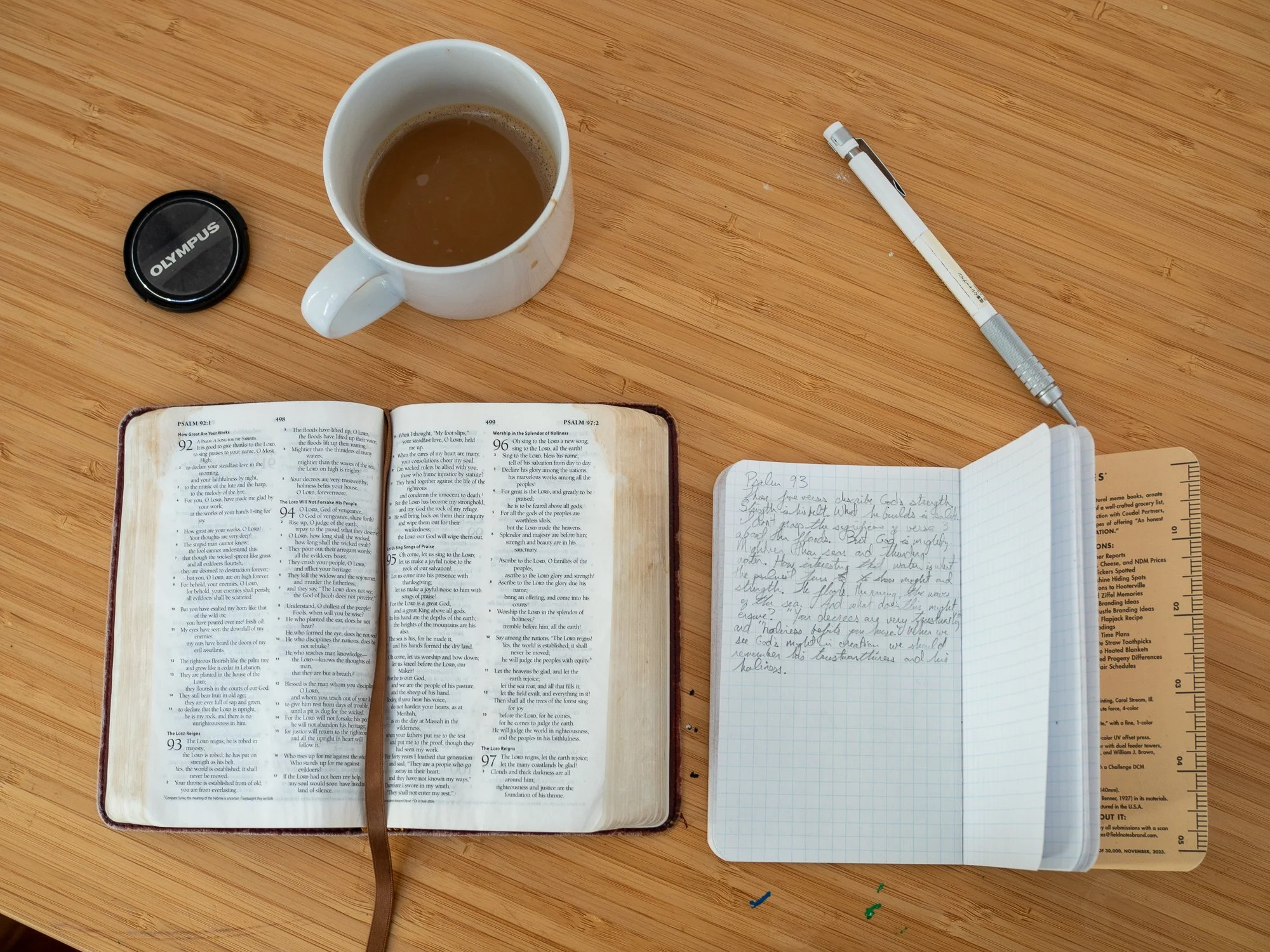 psalm-93-5.jpg