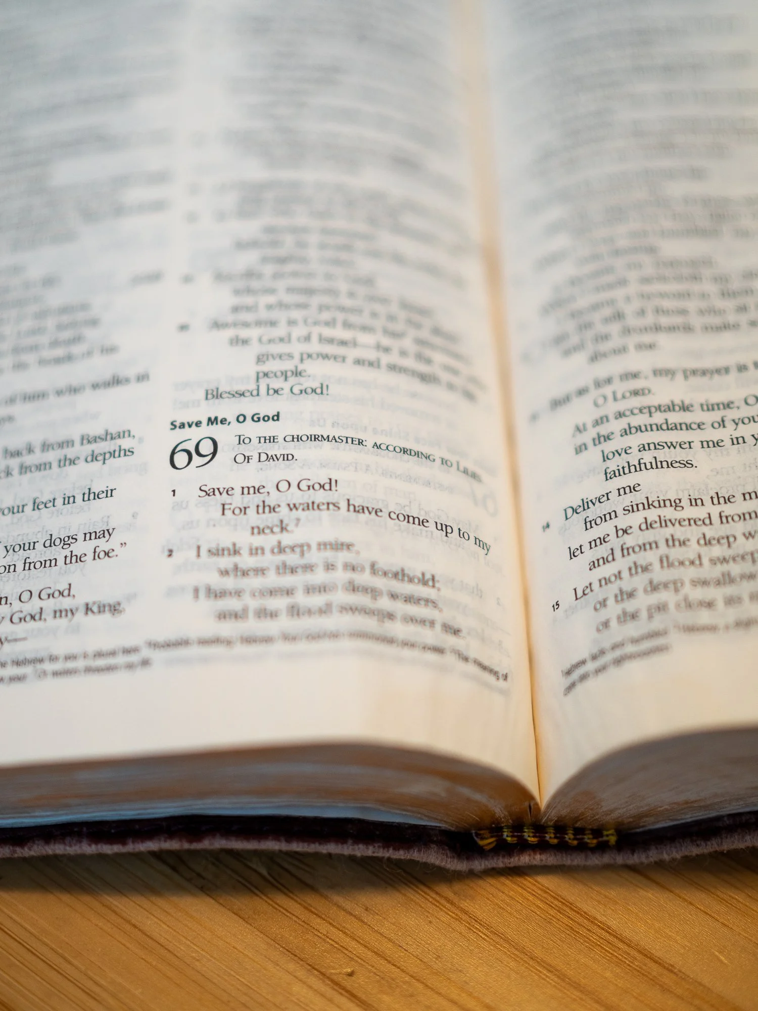 psalm-69-1.jpg