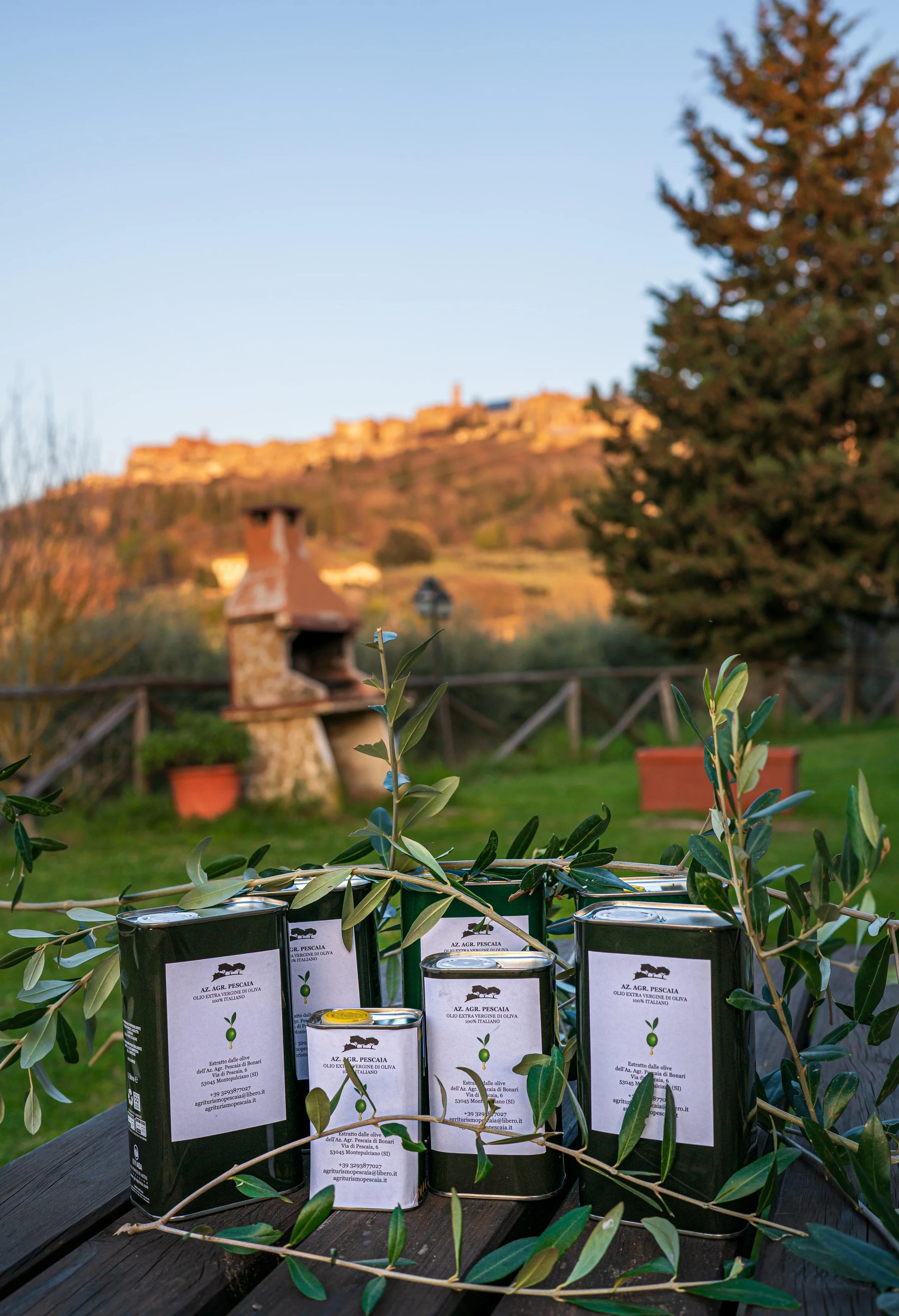 WhatsApp Image 2025-11-18 at 16.14.57.jpeg