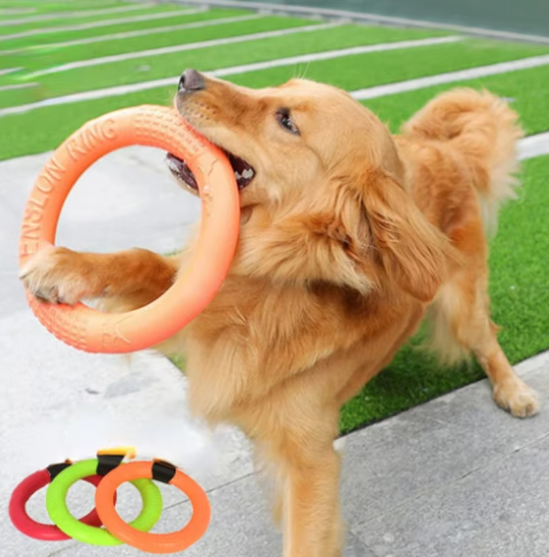 Flying Disc