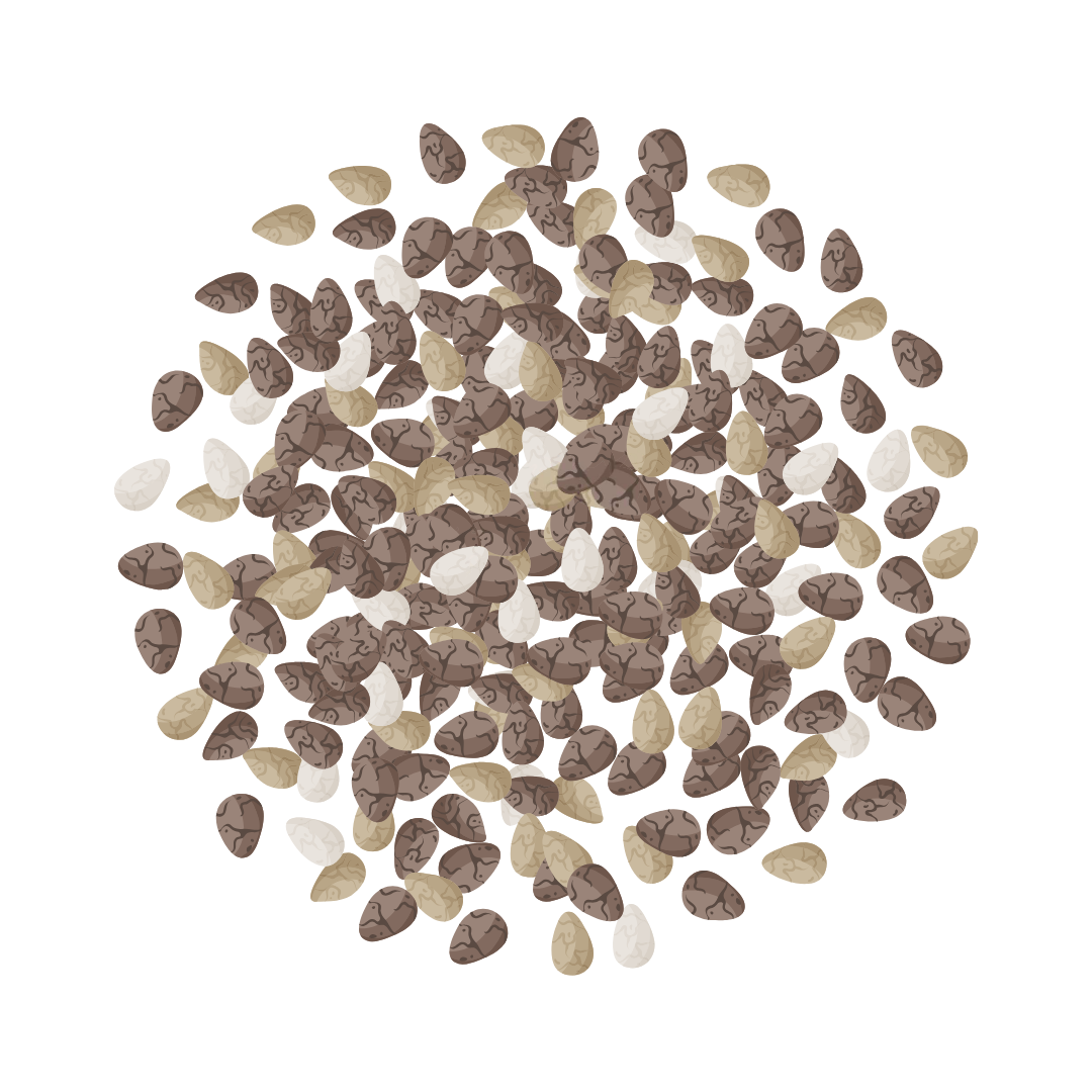 Black Seed Oil