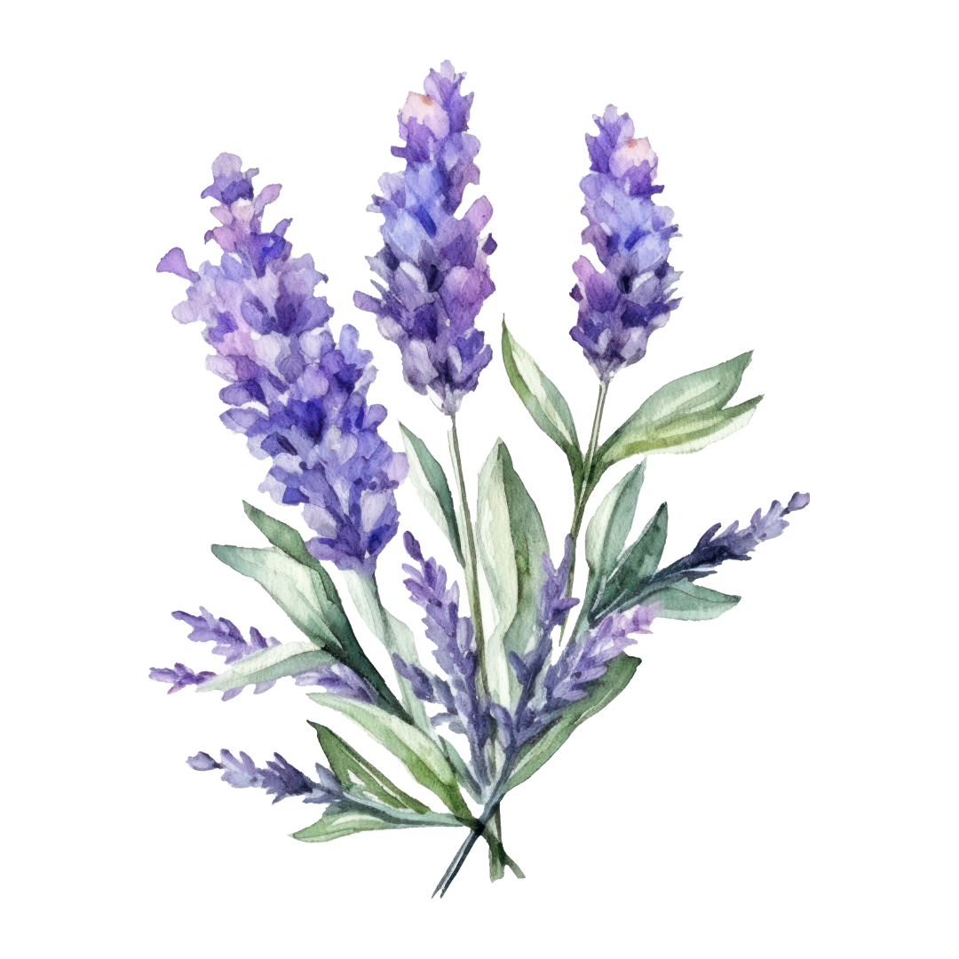 Lavender Oil