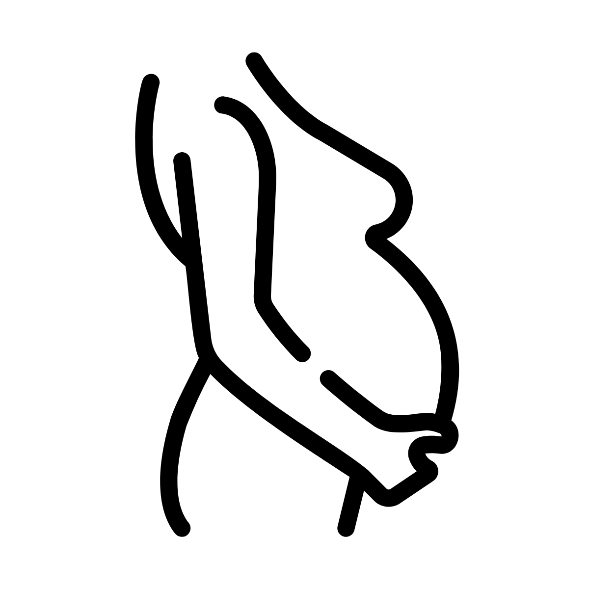 Line drawing of a pregnant woman.