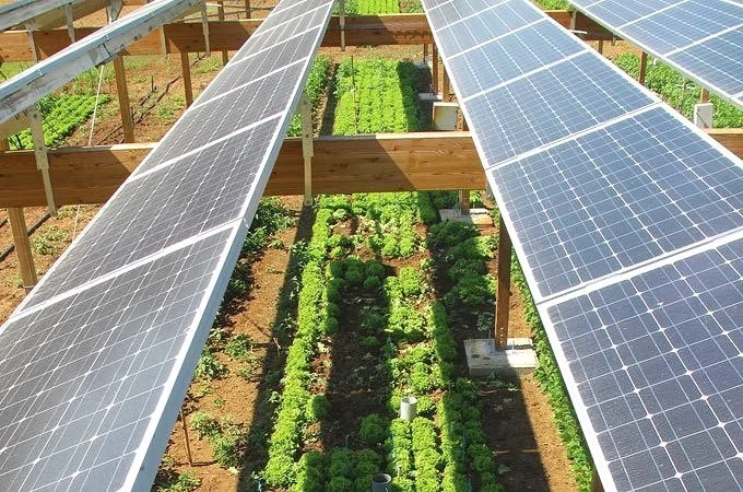 Stracker Solar System Agrivoltaics: The Future of Agriculture with Solar — Stracker Solar