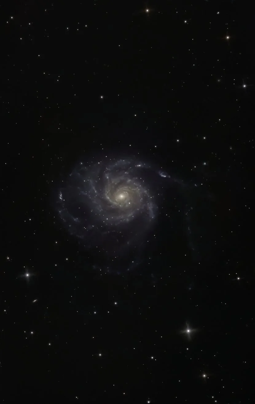 M101 (Pinwheel Galaxy)