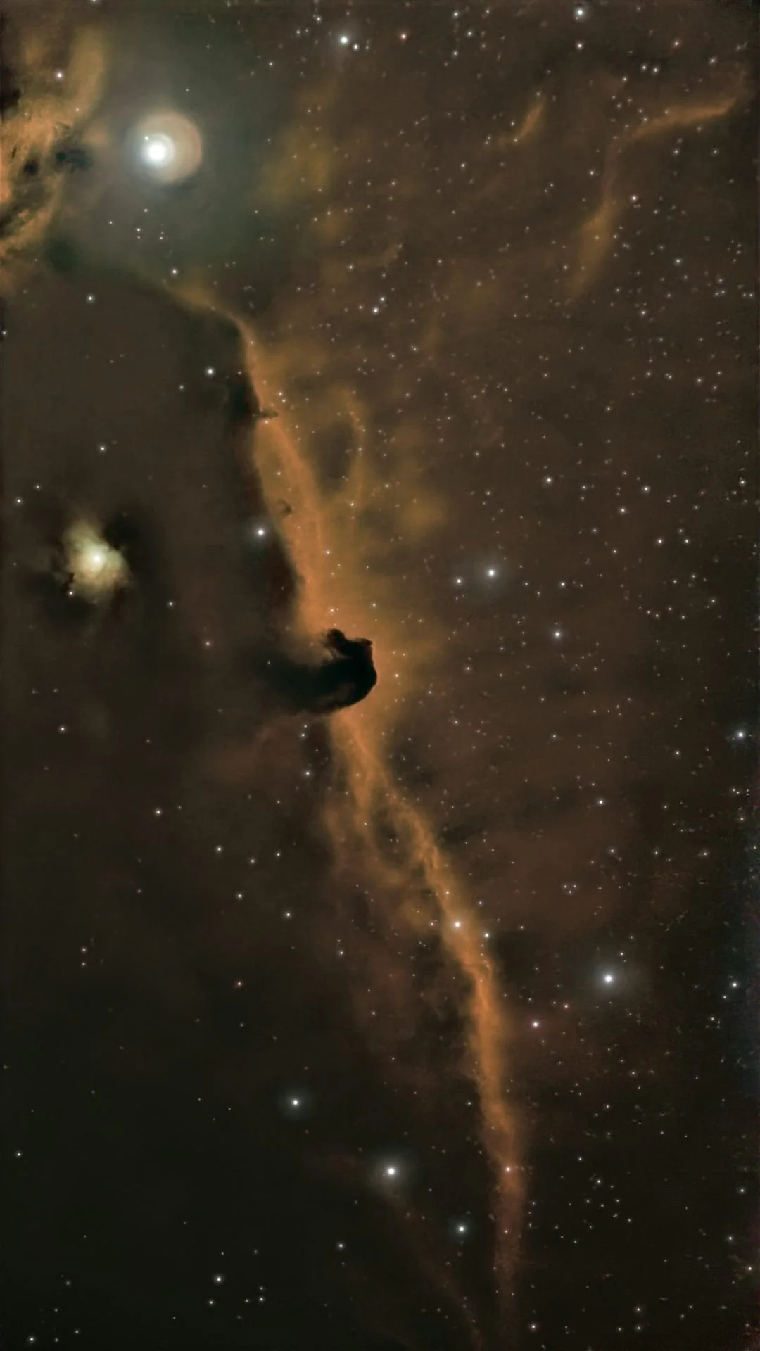 IC 434 (Horsehead Nebula)