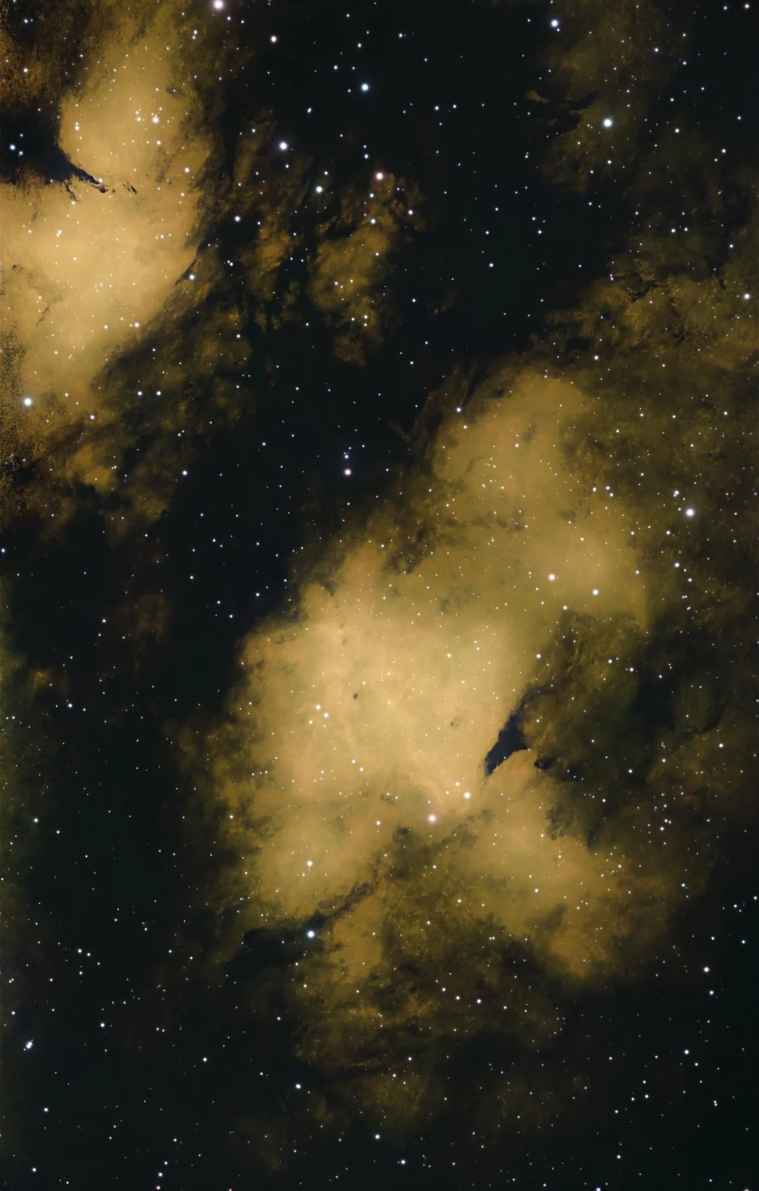 IC 1318 (Butterfly Nebula)