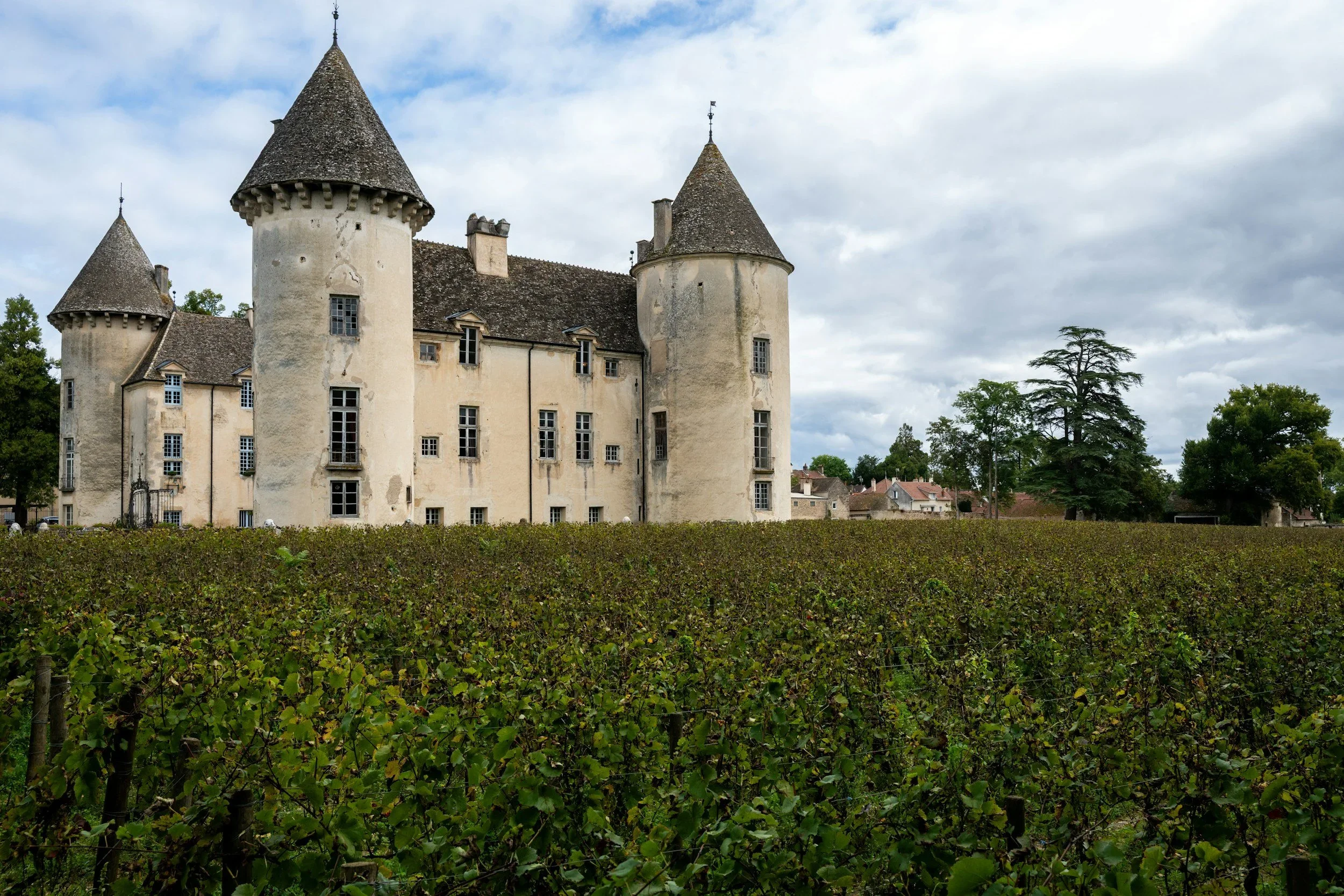 Burgundy WIne
