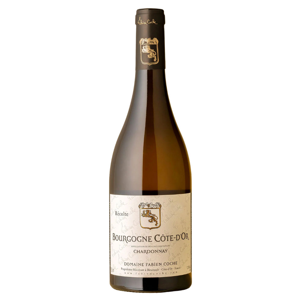 Domaine Fabien Coche Bourgogne Côte-d'Or Chardonnay 2023.png