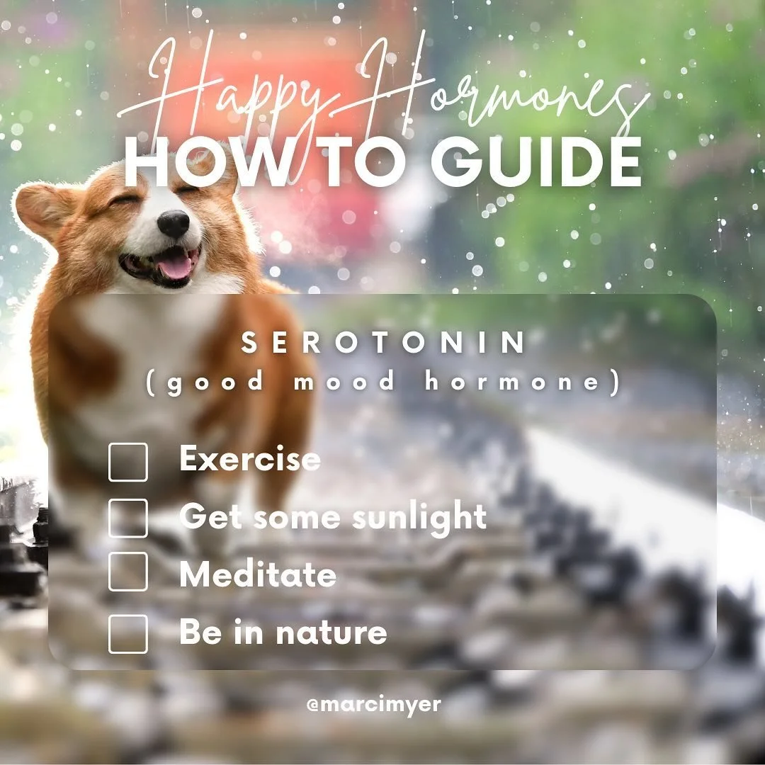 In need of a mood boost? Here&rsquo;s a how-to guide for some quick ways to access your happy hormones. 😊✨

#therapy #dogsofinstagram #happyhormones #serotonin #oxytocin #dopamine #endorphins #moodbooster