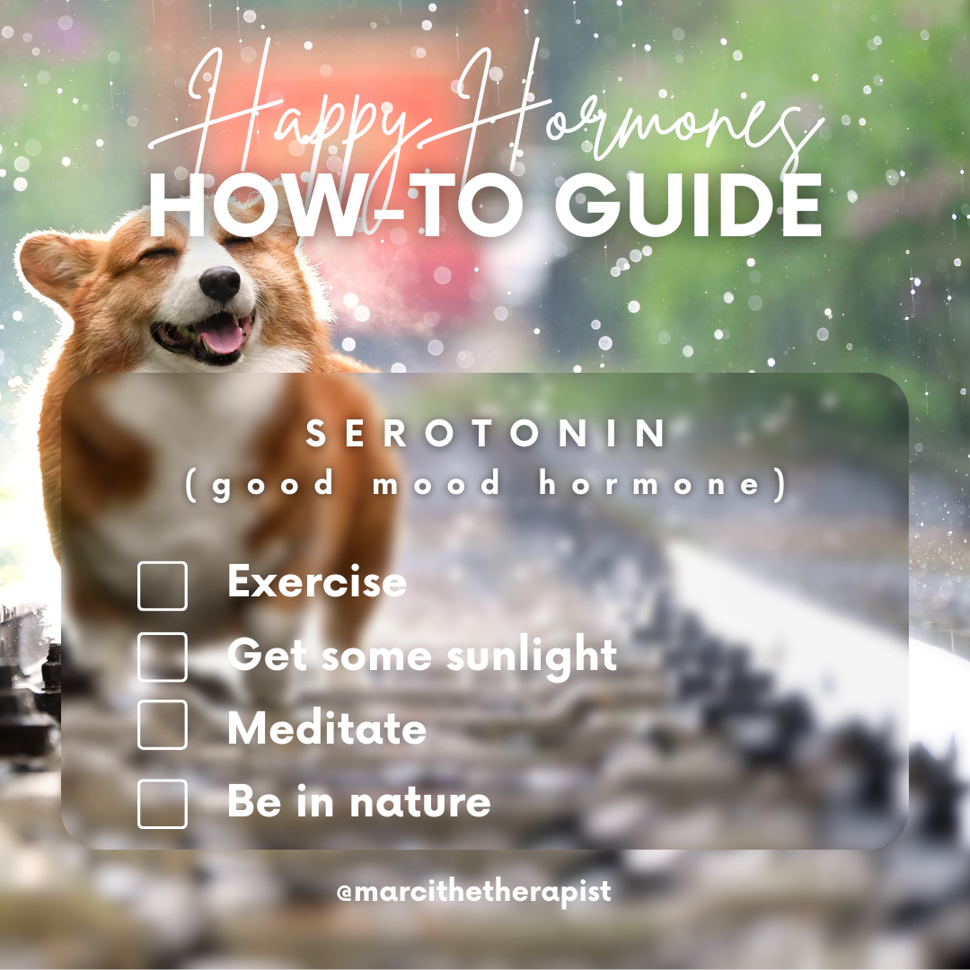 A cheerful dog standing outdoors on a sunny day with a blurred natural background, overlaid with text about a guide to happiness and serotonin.