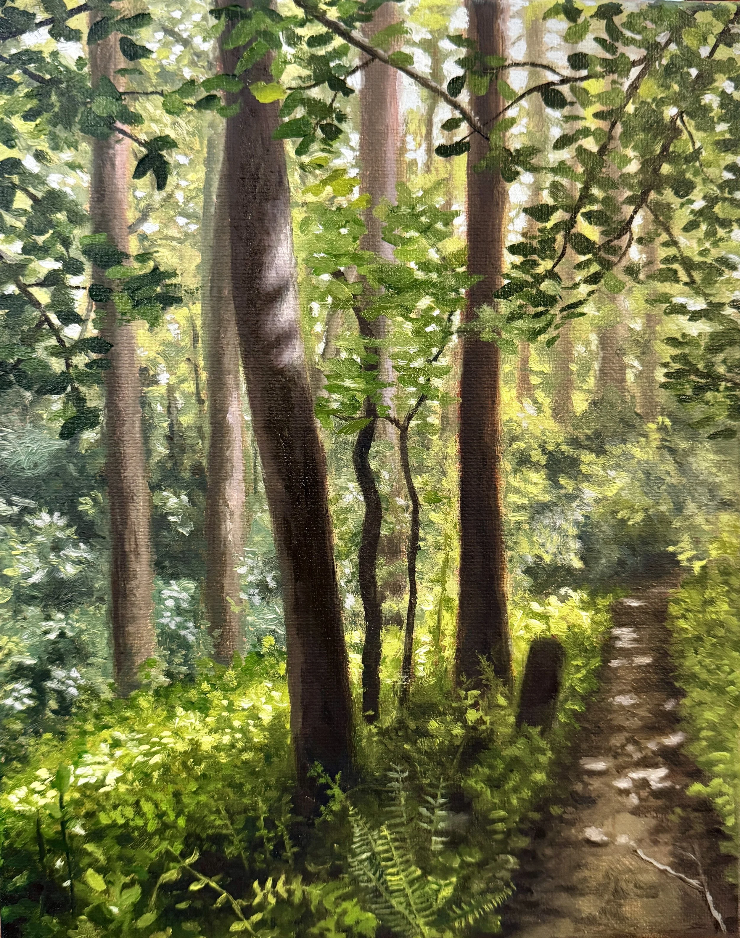 Path In the Forest